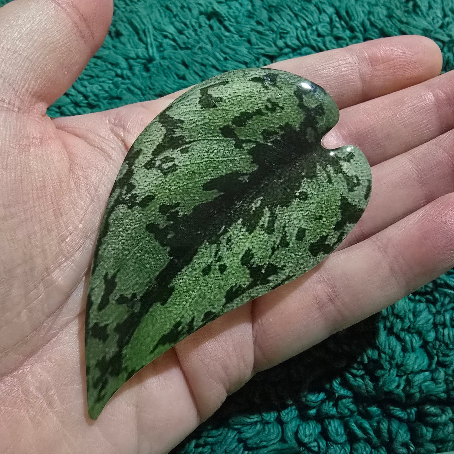 Scindapsus Exotica Mobile Phone Grip