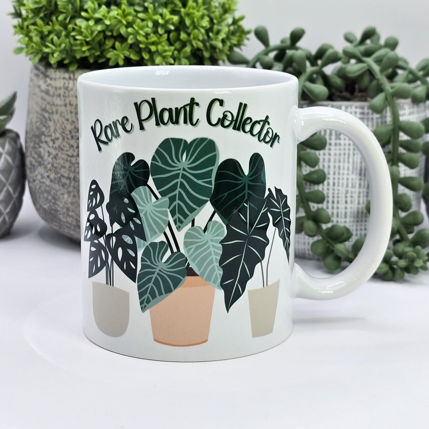 Rare Plant Collector Potted Plant trio 11oz Ceramic Mug
