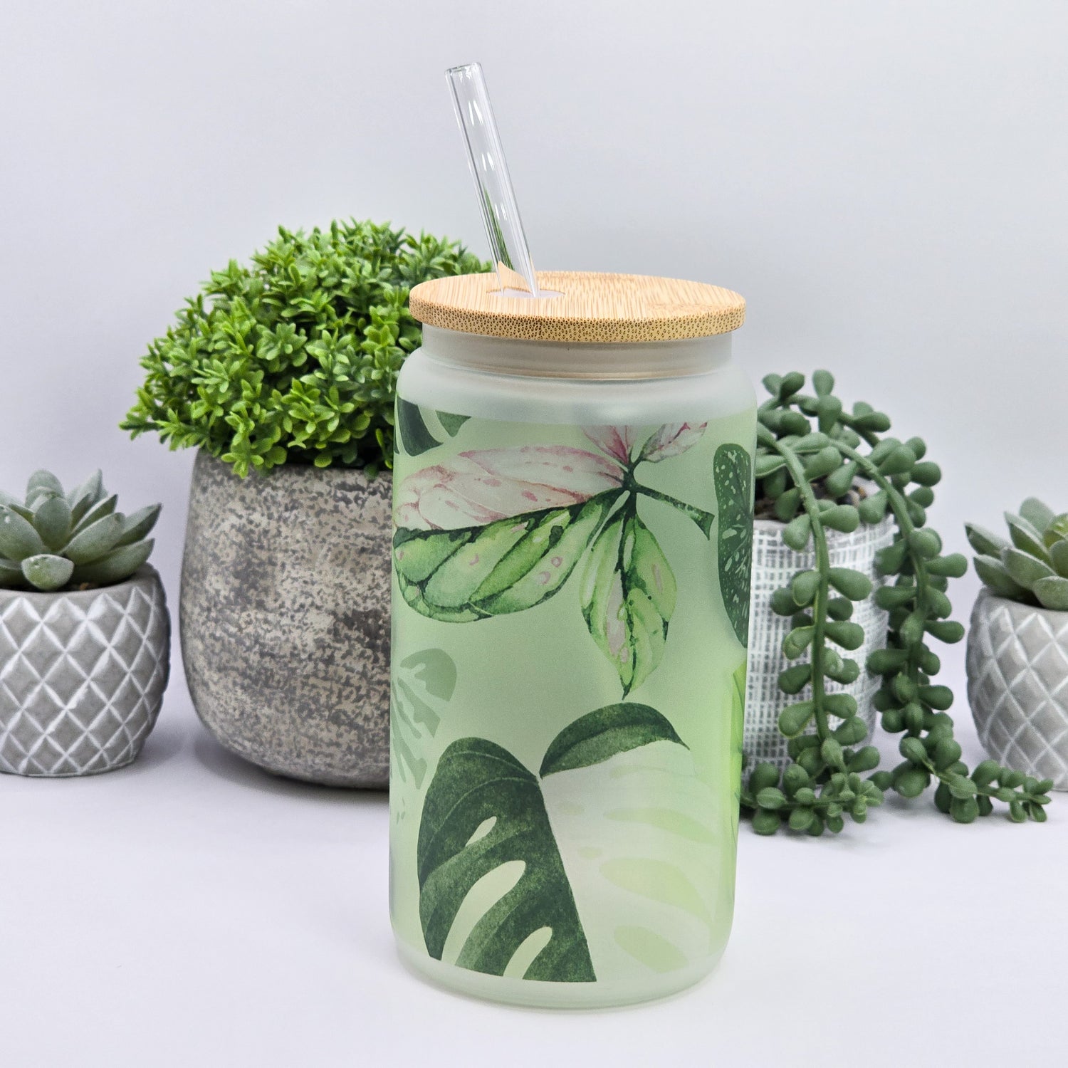 Rare Variegated Leaves 16oz Frosted Glass Houseplant Tumbler with Glass Straw
