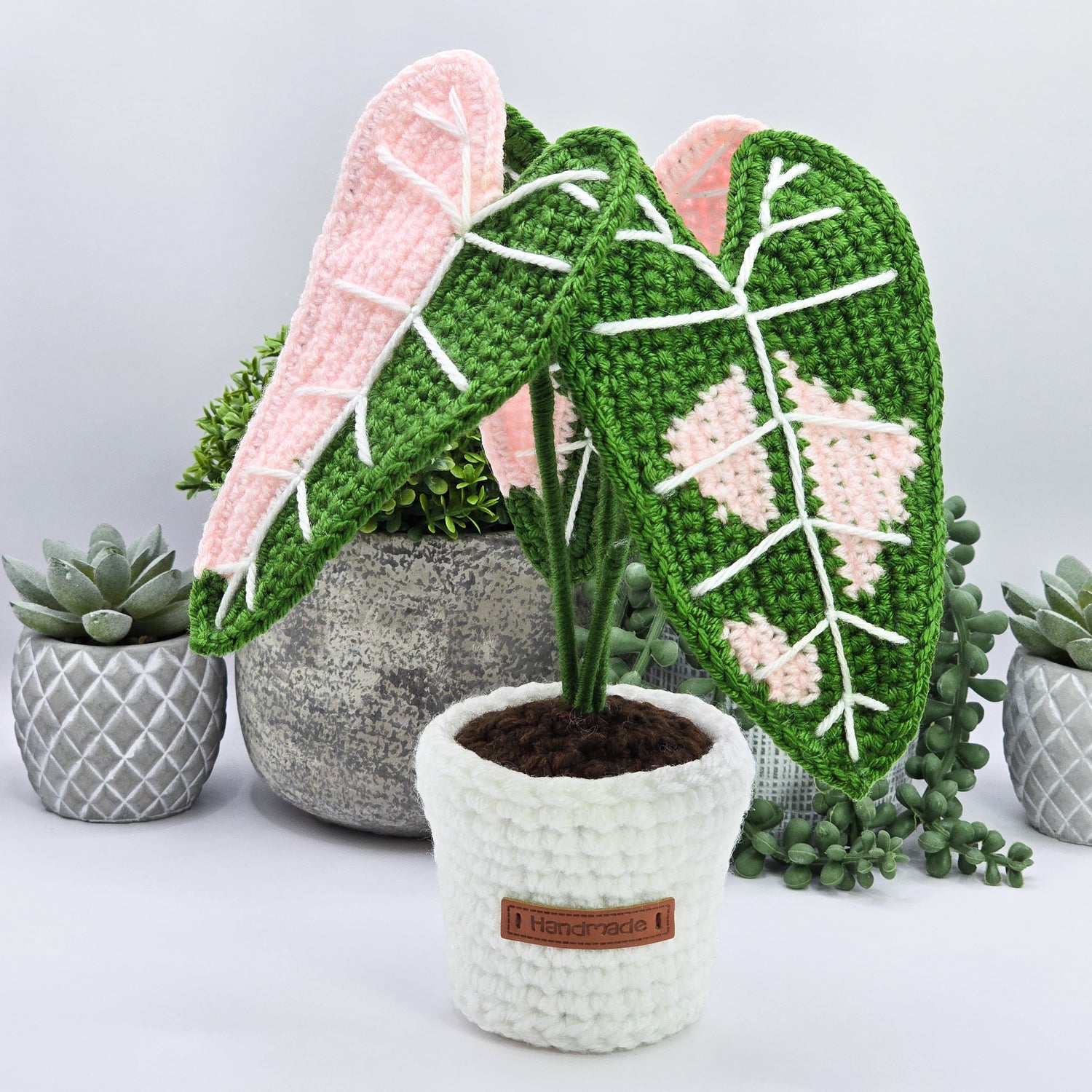 *NEW* Mini Alocasia Amazonica Pink Variegated Crochet Plant