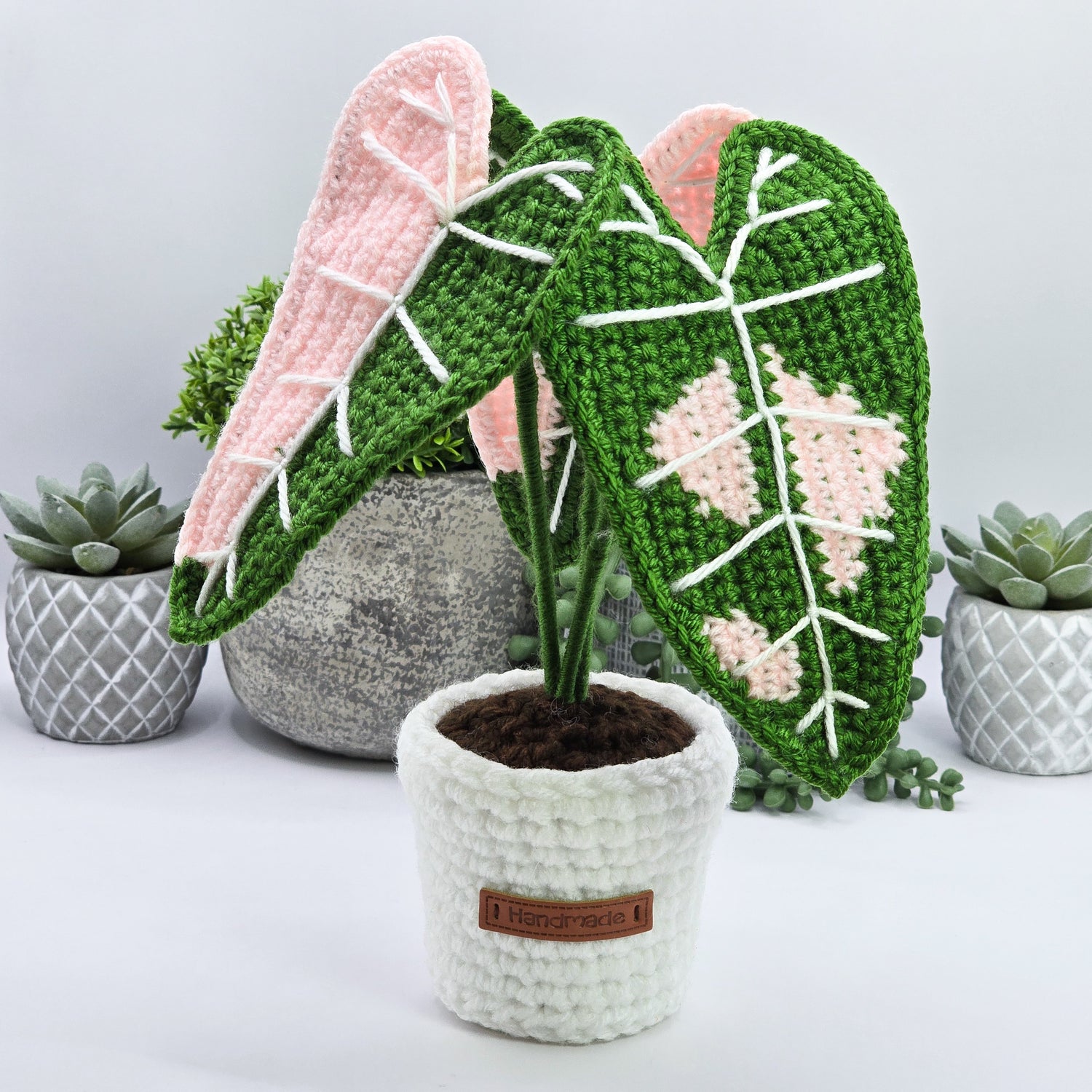 *NEW* Mini Alocasia Amazonica Pink Variegated Crochet Plant
