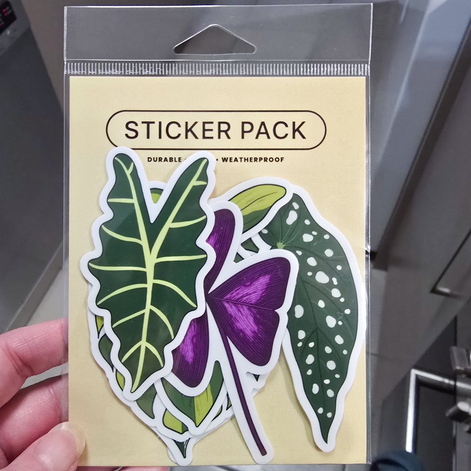 Pack of (7) Rare Houseplant Leaves |WHITE Vinyl| Pack of 7 OR purchase Individually