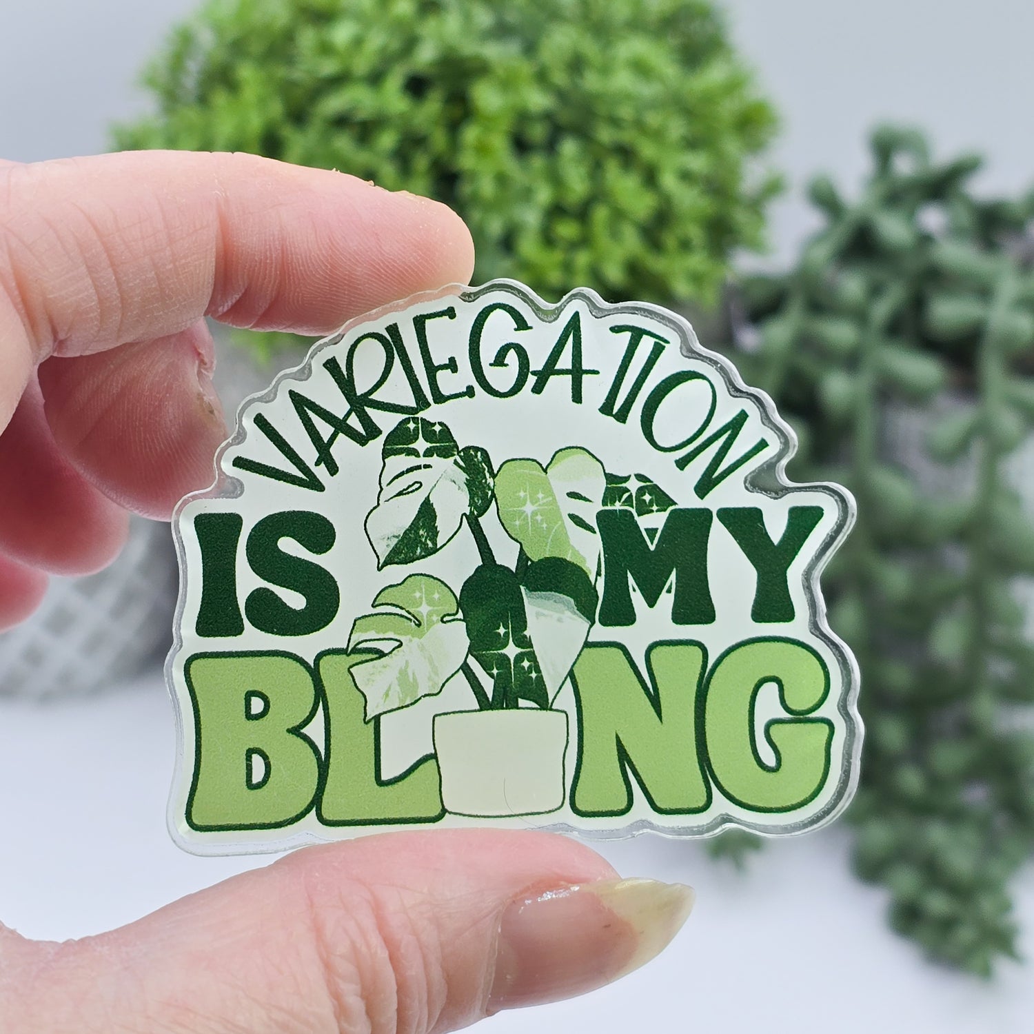 Variegation Is My Bling Acrylic Houseplants Refrigerator Magnet