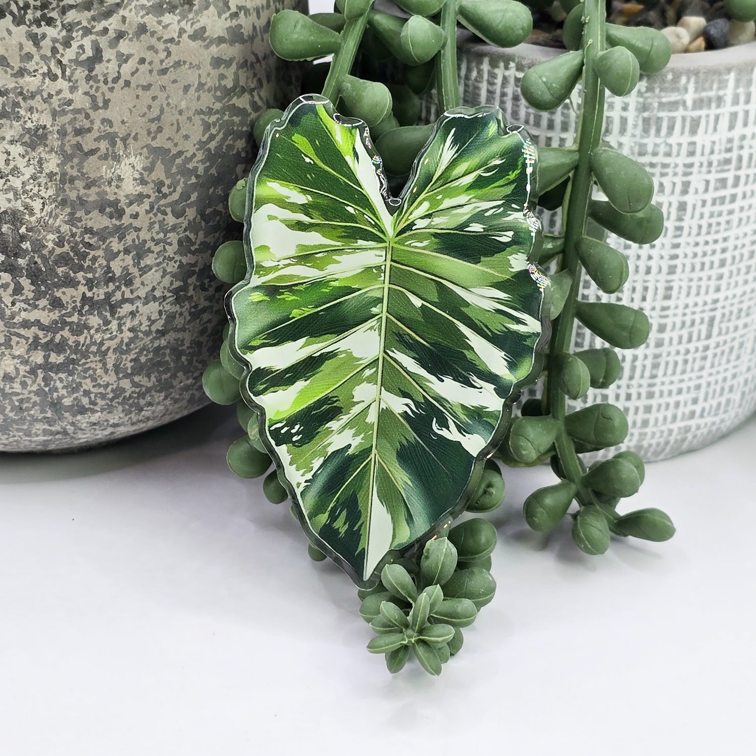 Alocasia Variegated Leaf Mobile Phone Grip