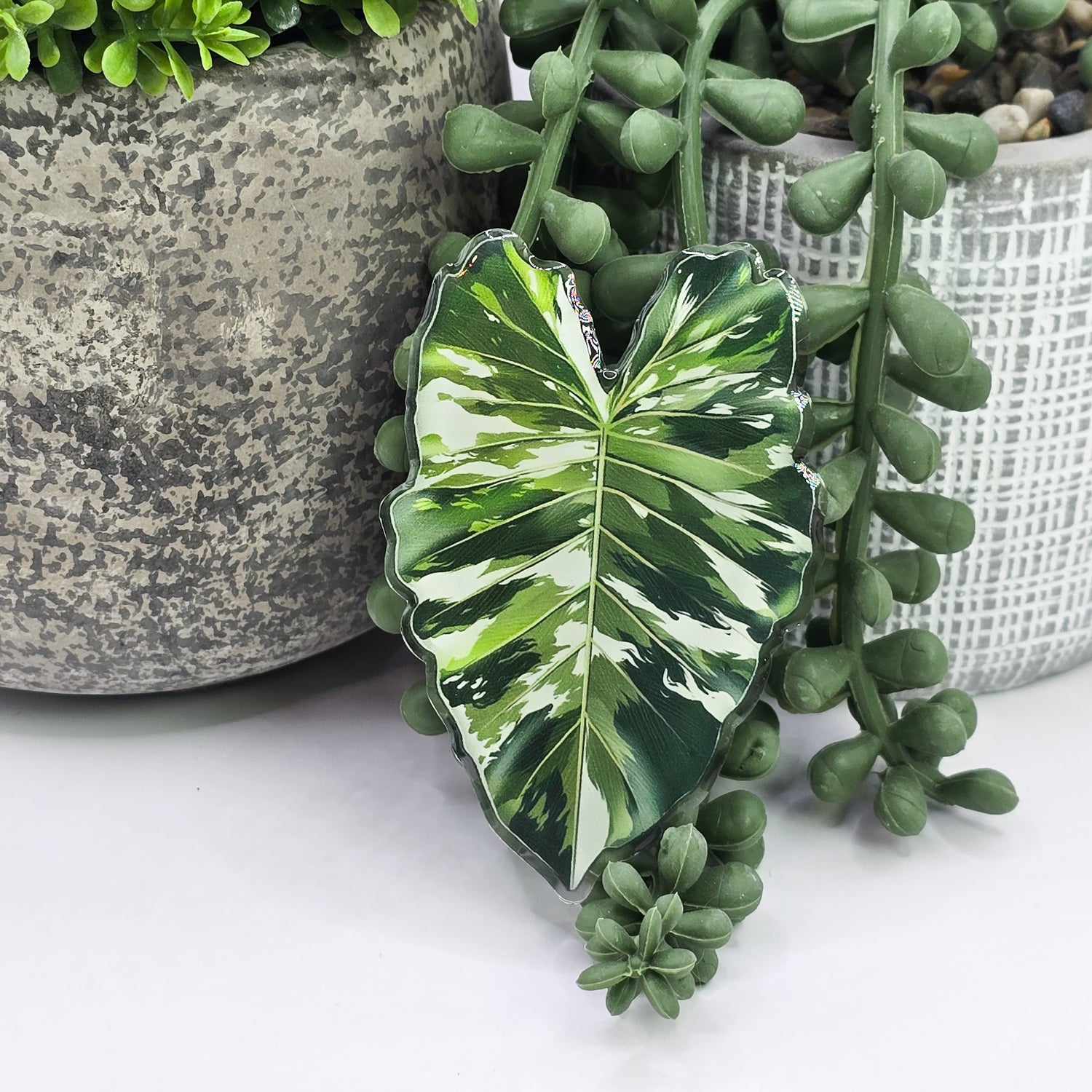 Alocasia Variegated Leaf Mobile Phone Grip