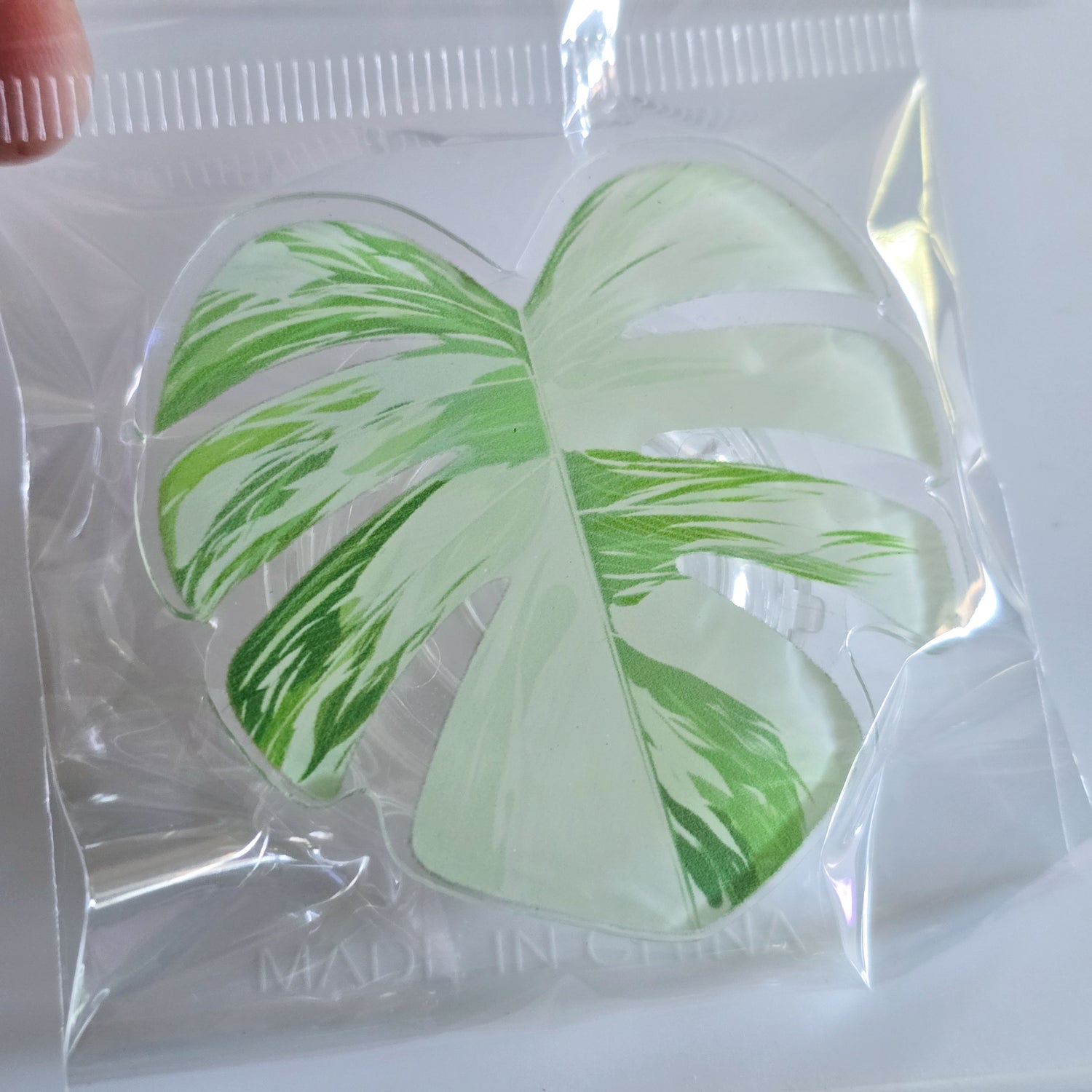 Monstera Borsigiana albo Variegated Leaf Mobile Phone Grip