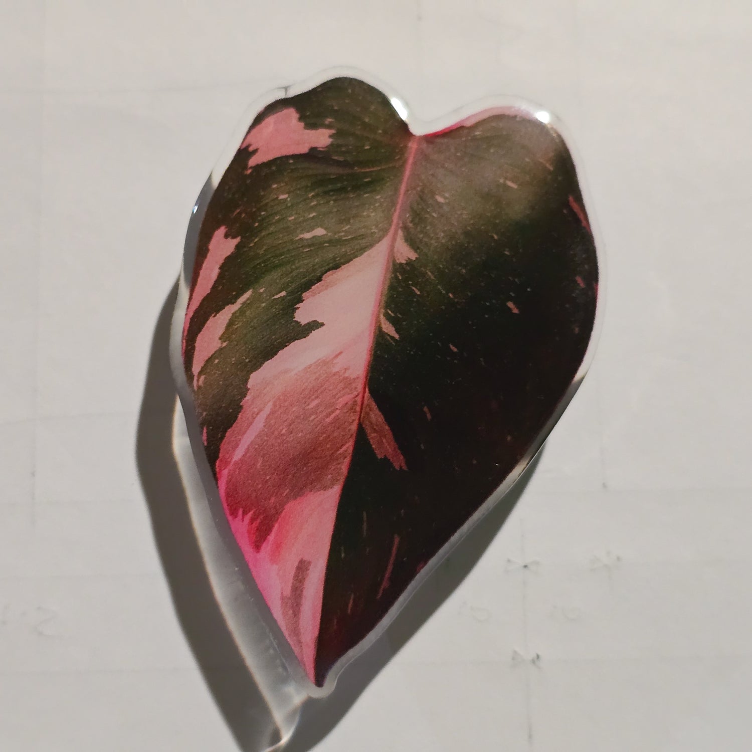 Philodendron Pink Princess Variegated Mobile Phone Grip