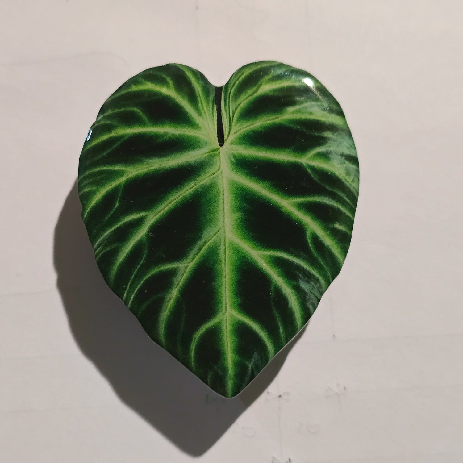 Philodendron Verrucosum Mobile Phone Grip