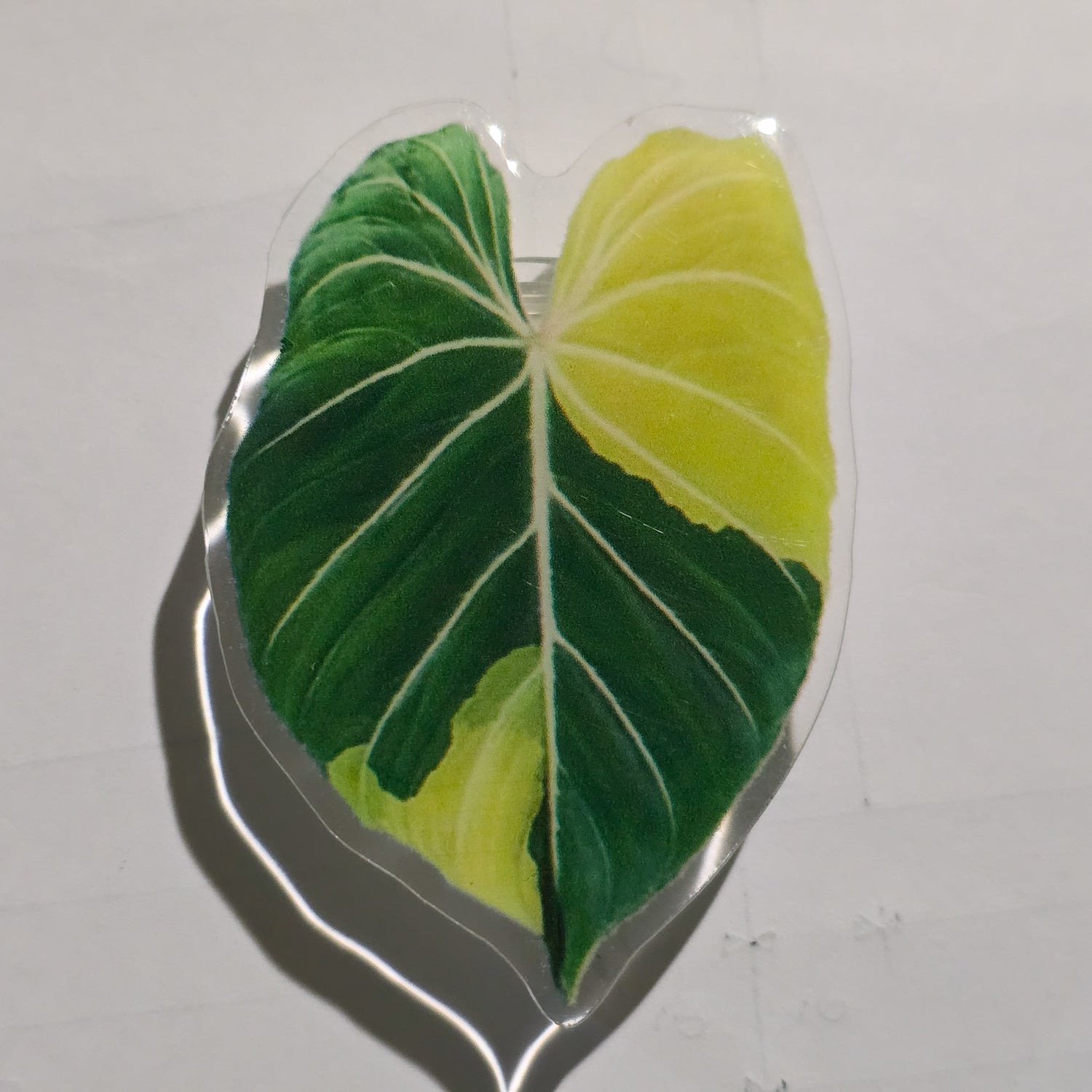 Anthurium Variegated Mobile Phone Grip