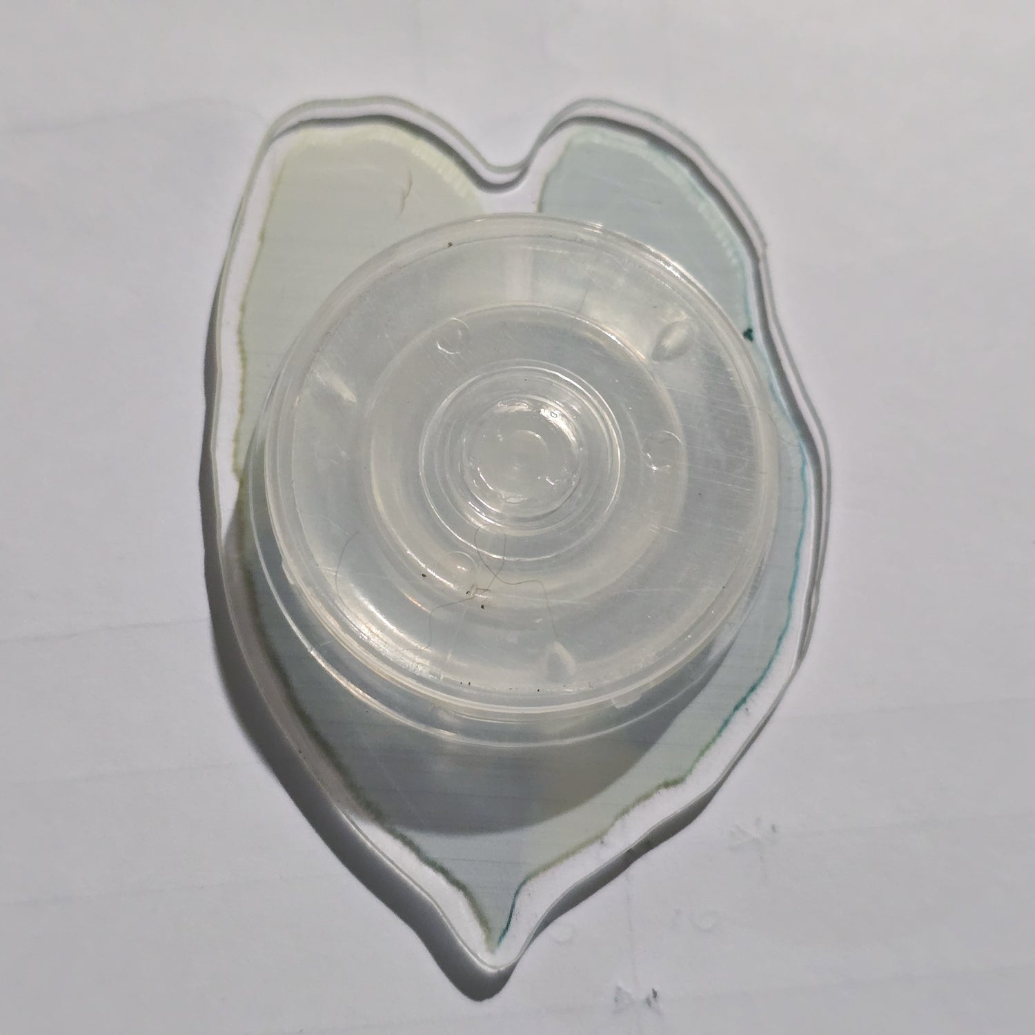 Anthurium Variegated Mobile Phone Grip