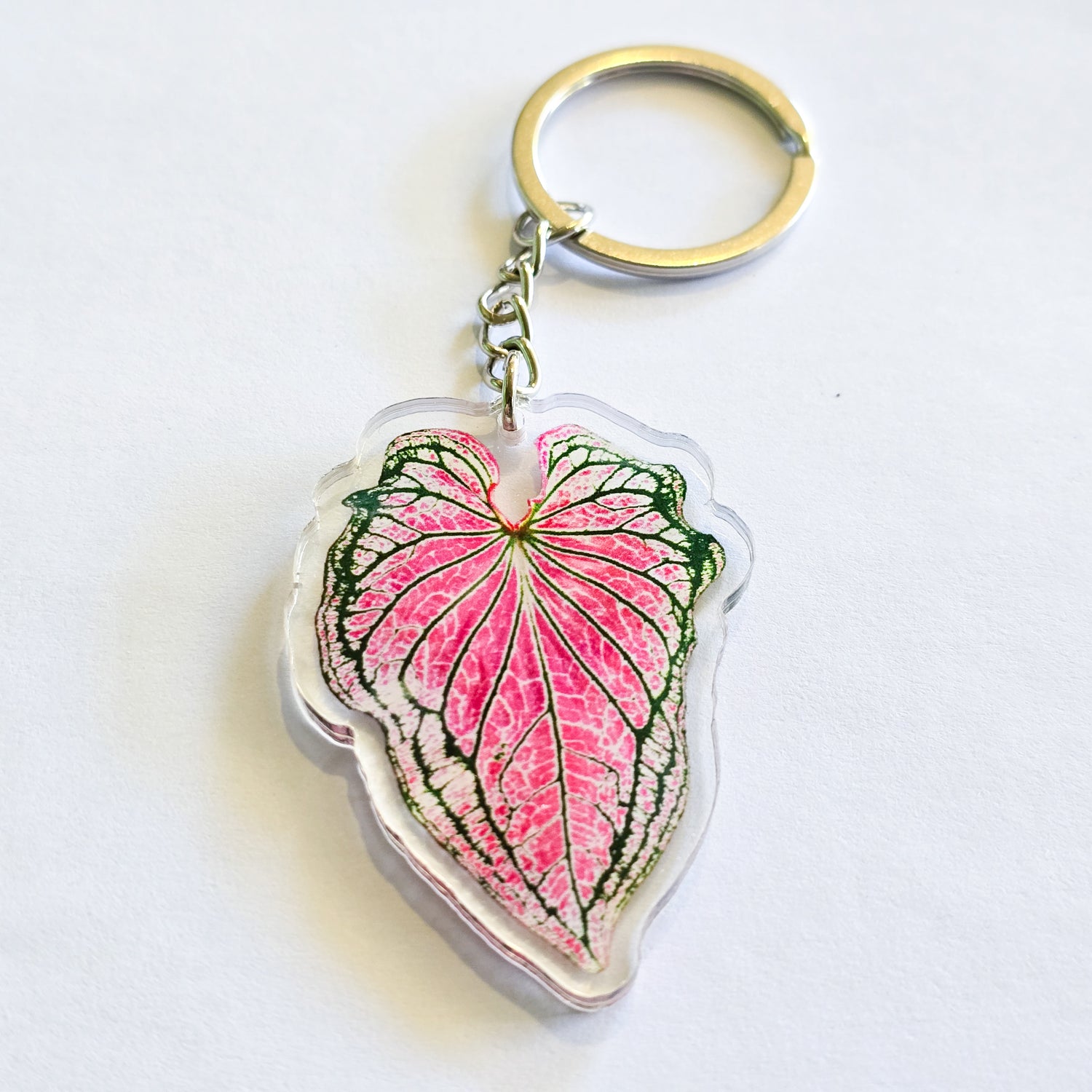 Pink & Green Caladium Acrylic Houseplant Keyring