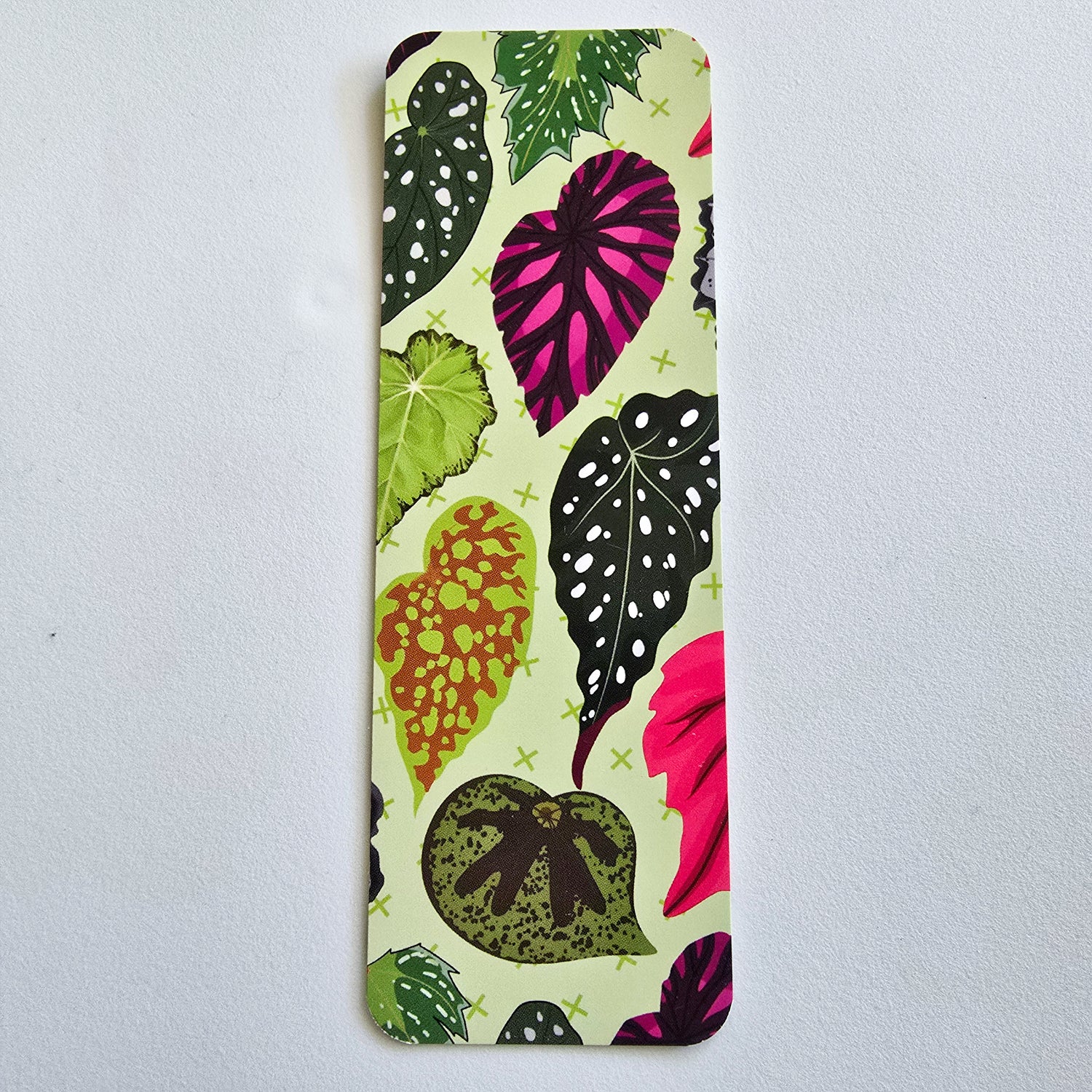 Beautiful Begonias Gloss Houseplants Bookmark