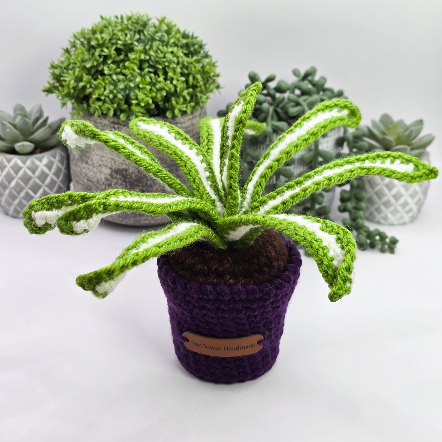 Mini Crochet Potted Spiderplant, Dark Purple or Black Pot