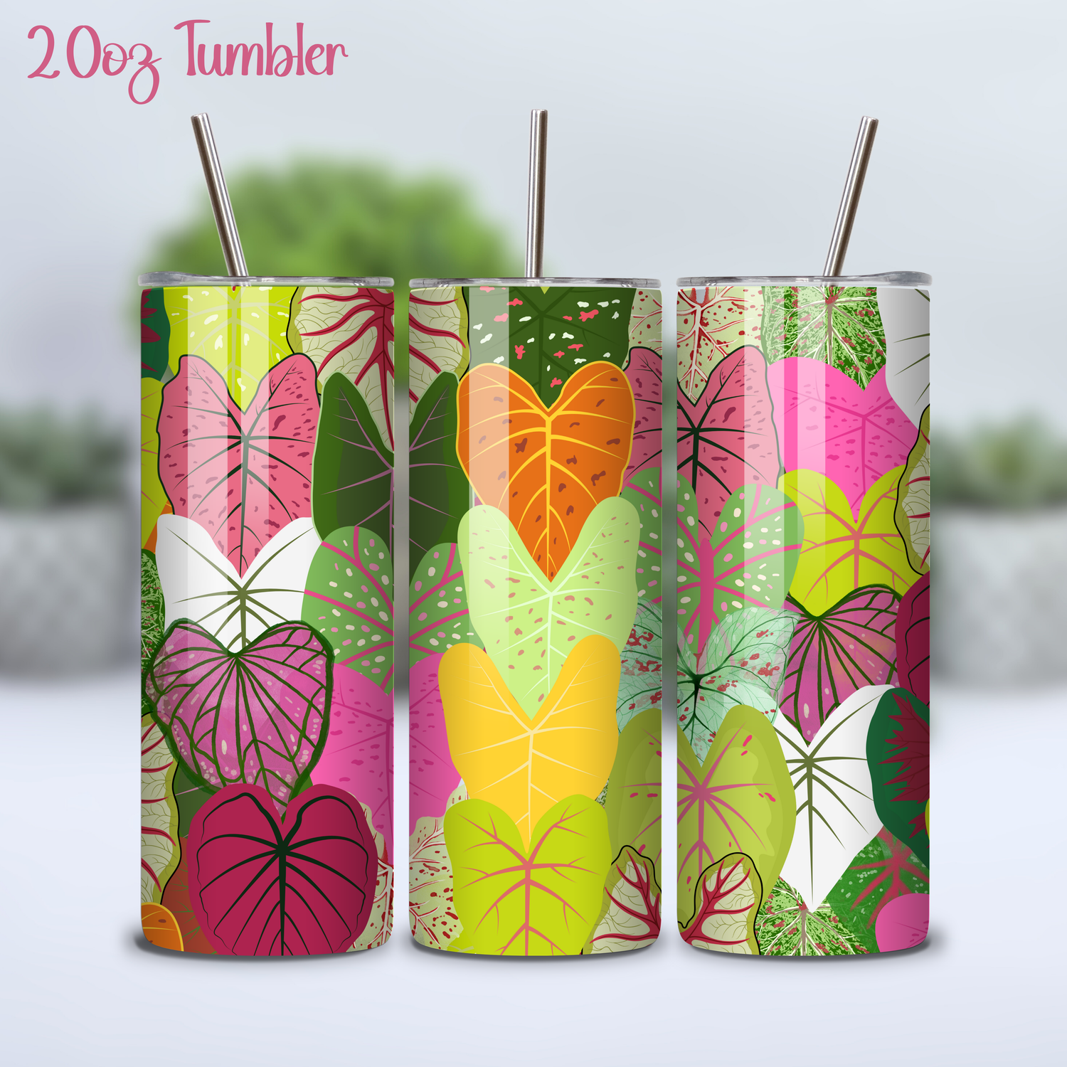 Colourful Caladium Houseplants 12oz/20oz Stainless steel Tumbler