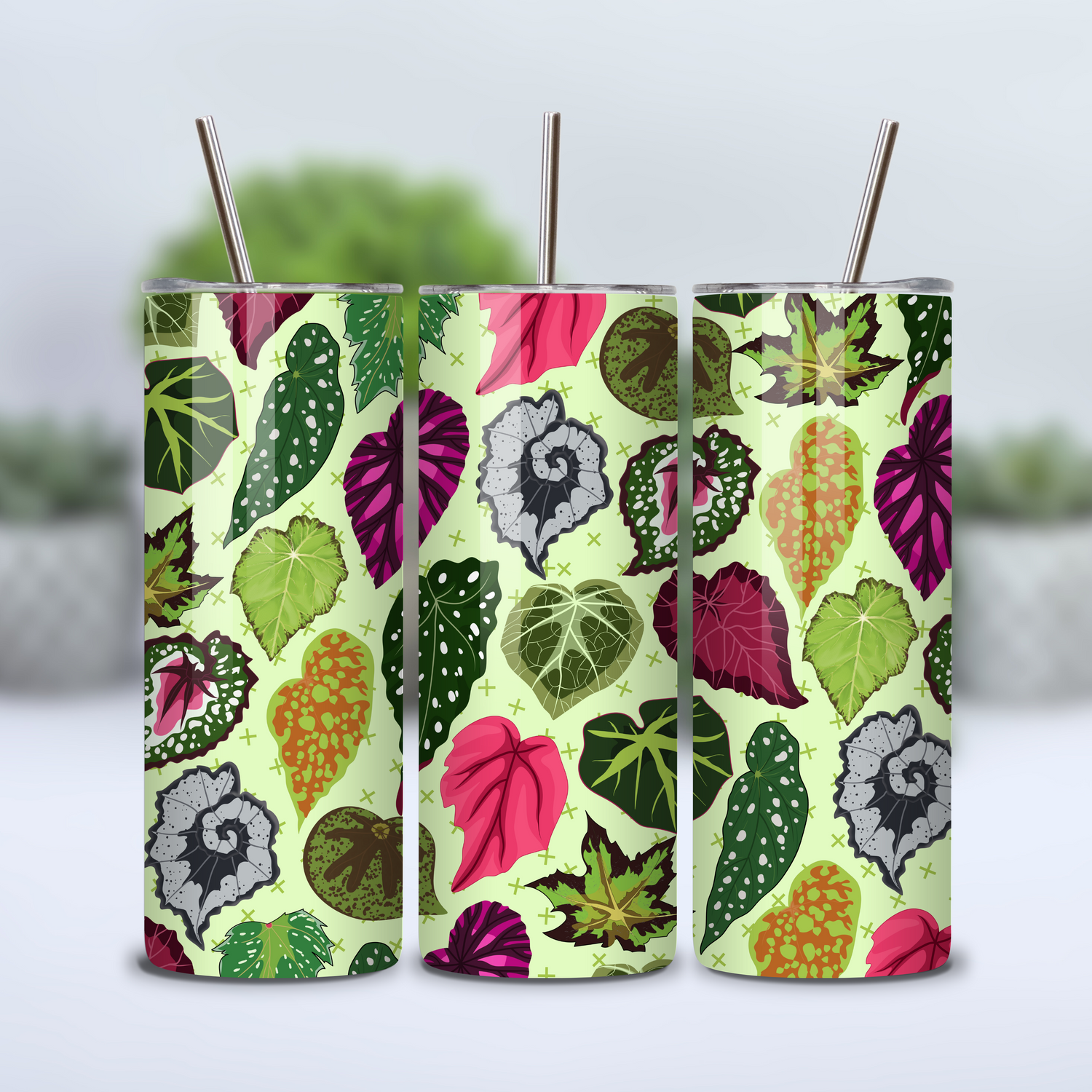 ⭐️NEW⭐️Beautiful Begonias 12oz/20oz Insulated Stainless Steel Houseplants Tumbler