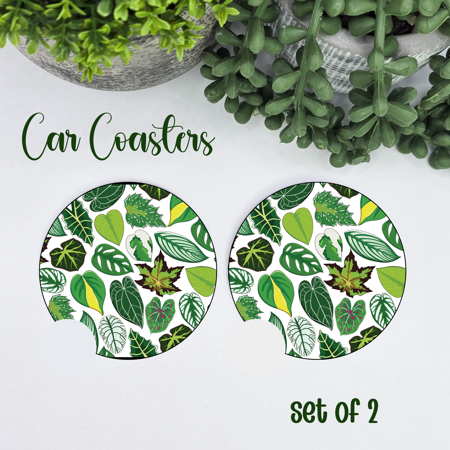 My Plantasy/ falling foliage houseplant car coasters
