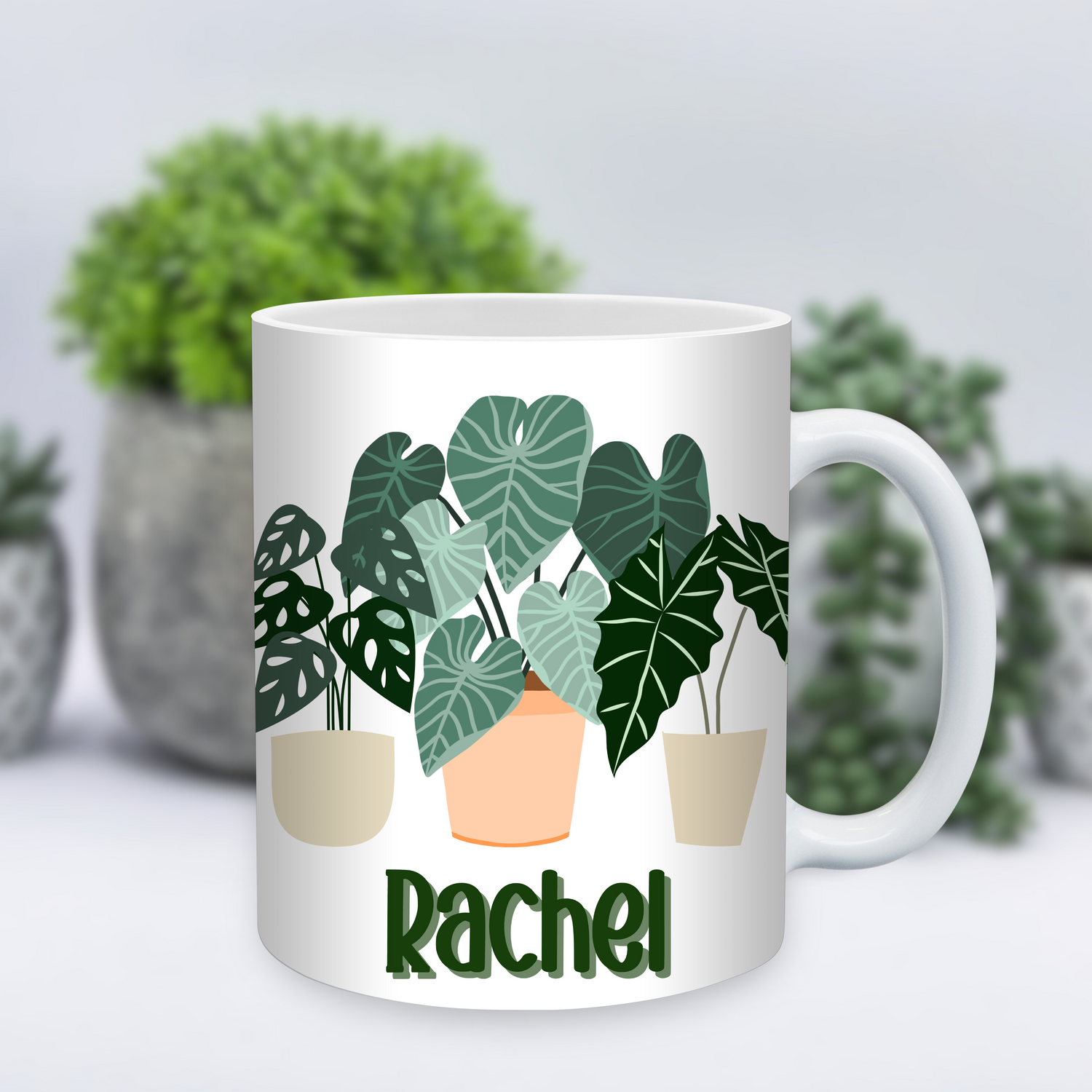 ✨️Personalised✨️ Rare Houseplant Trio 11oz Ceramic Mug