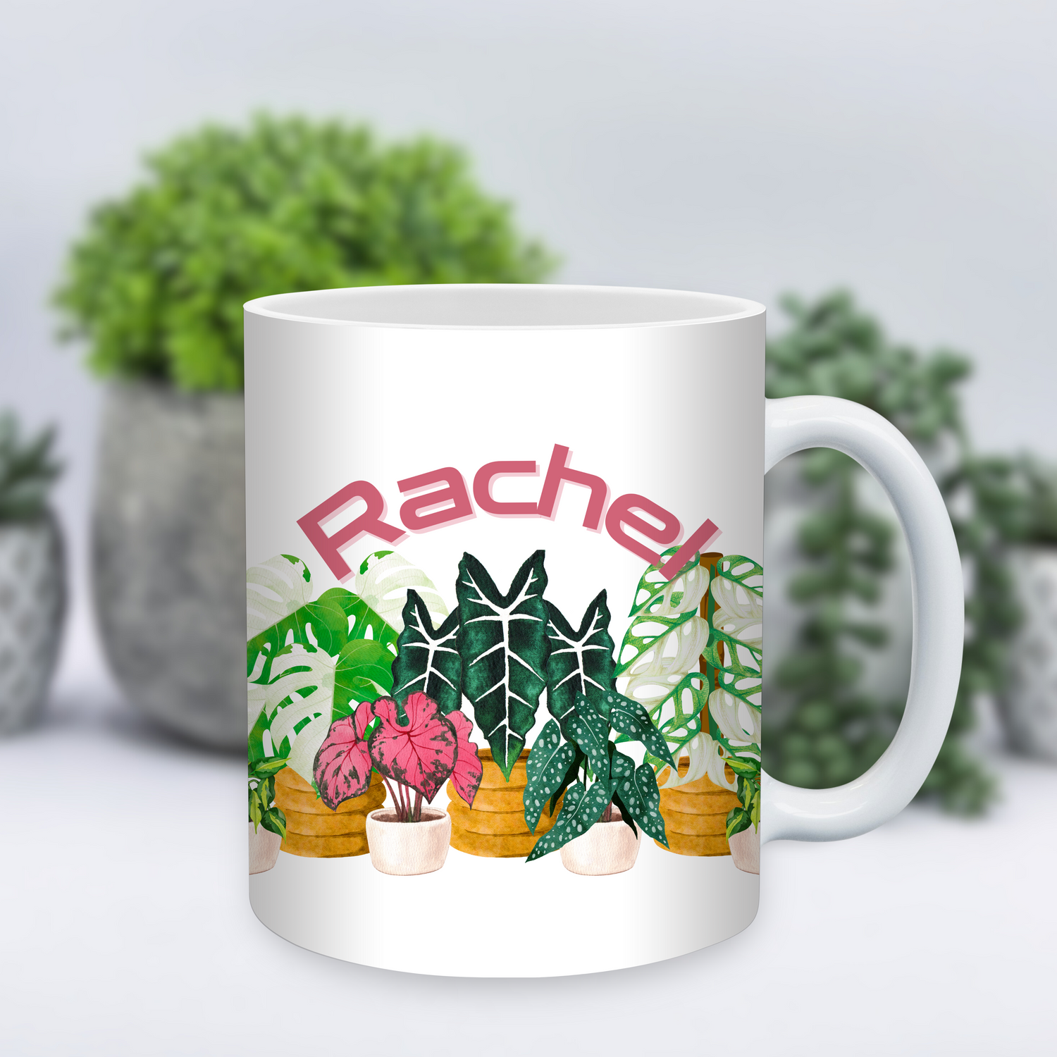 ✨️Personalised✨️ Watercolour Houseplants 11oz Ceramic Mug
