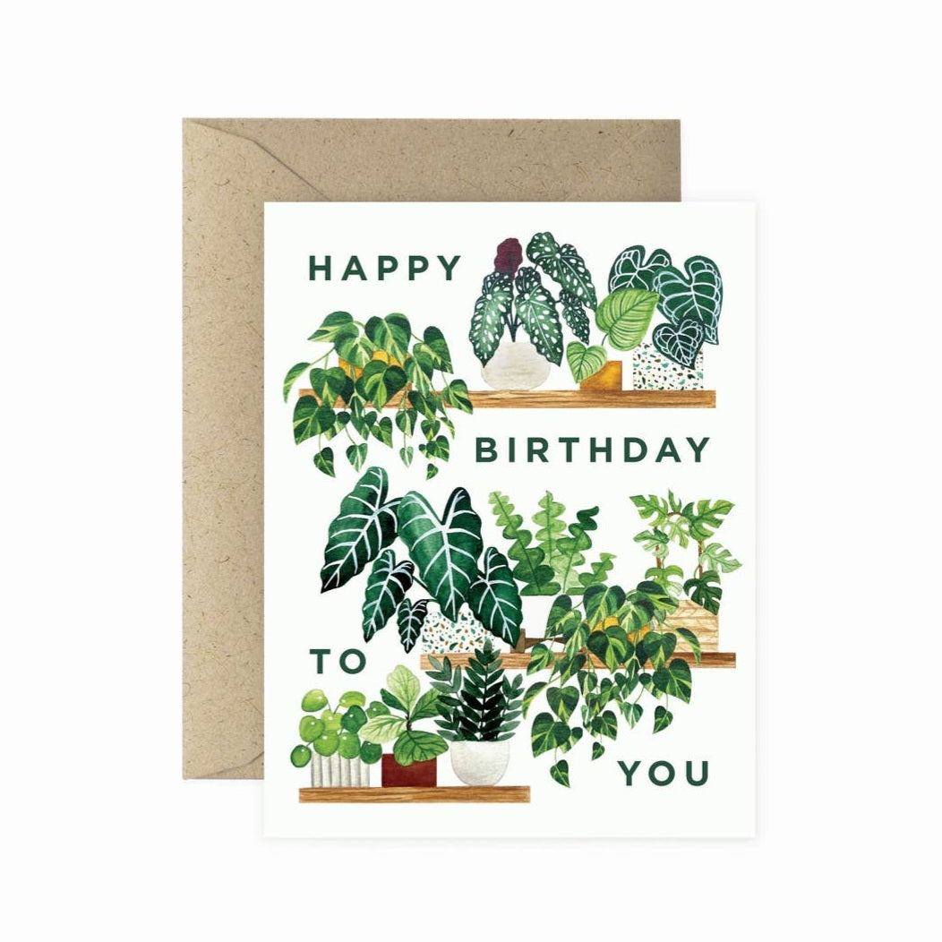 My Plantasy/ happy birthday to you houseplant shelves greeting card