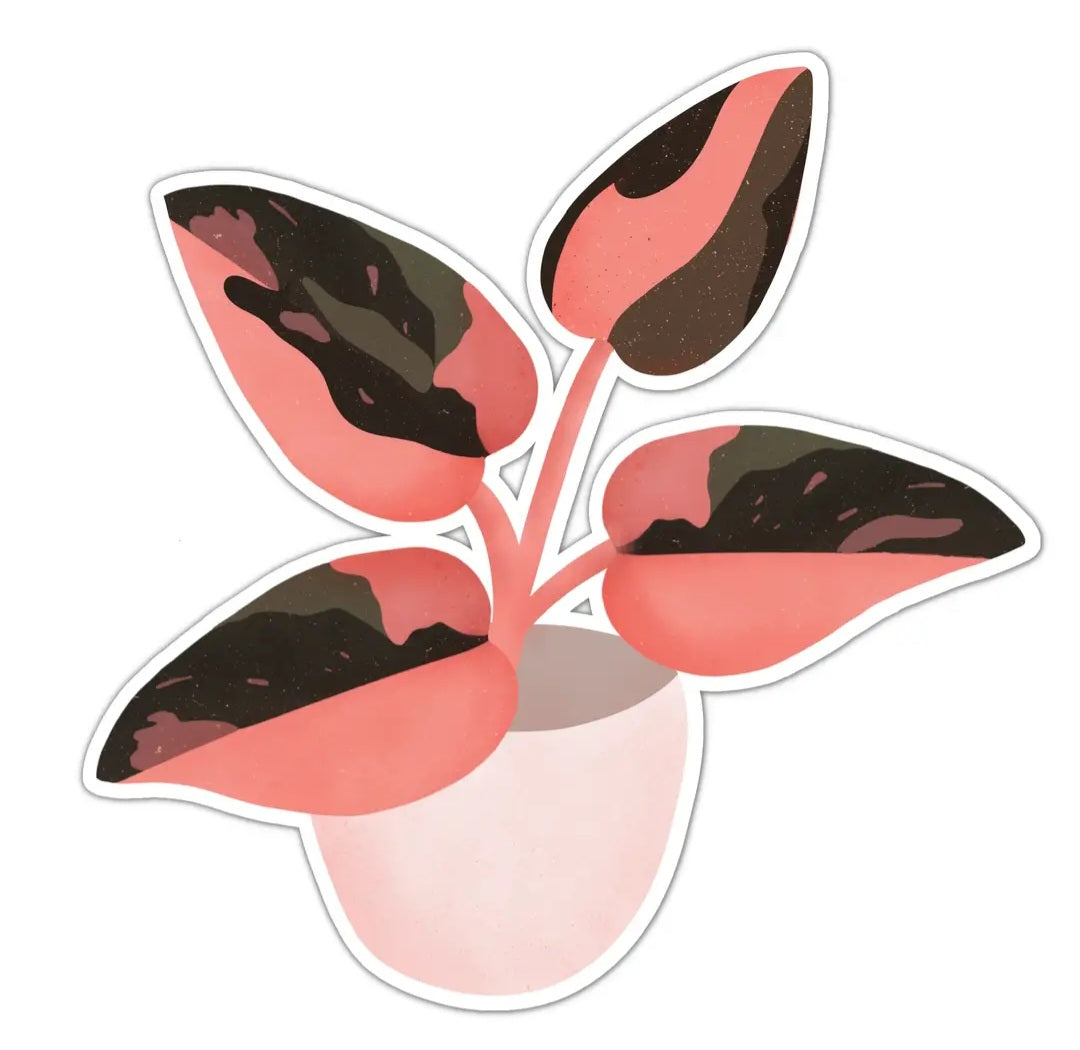 Philodendron Pink Princess Houseplant vinyl Sticker