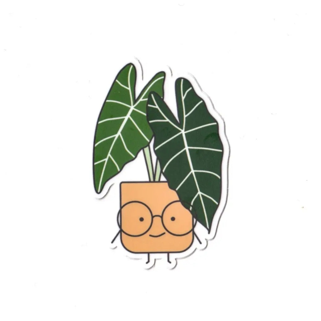 Alocasia Frydek Vinyl Houseplant Sticker by Home by Faith