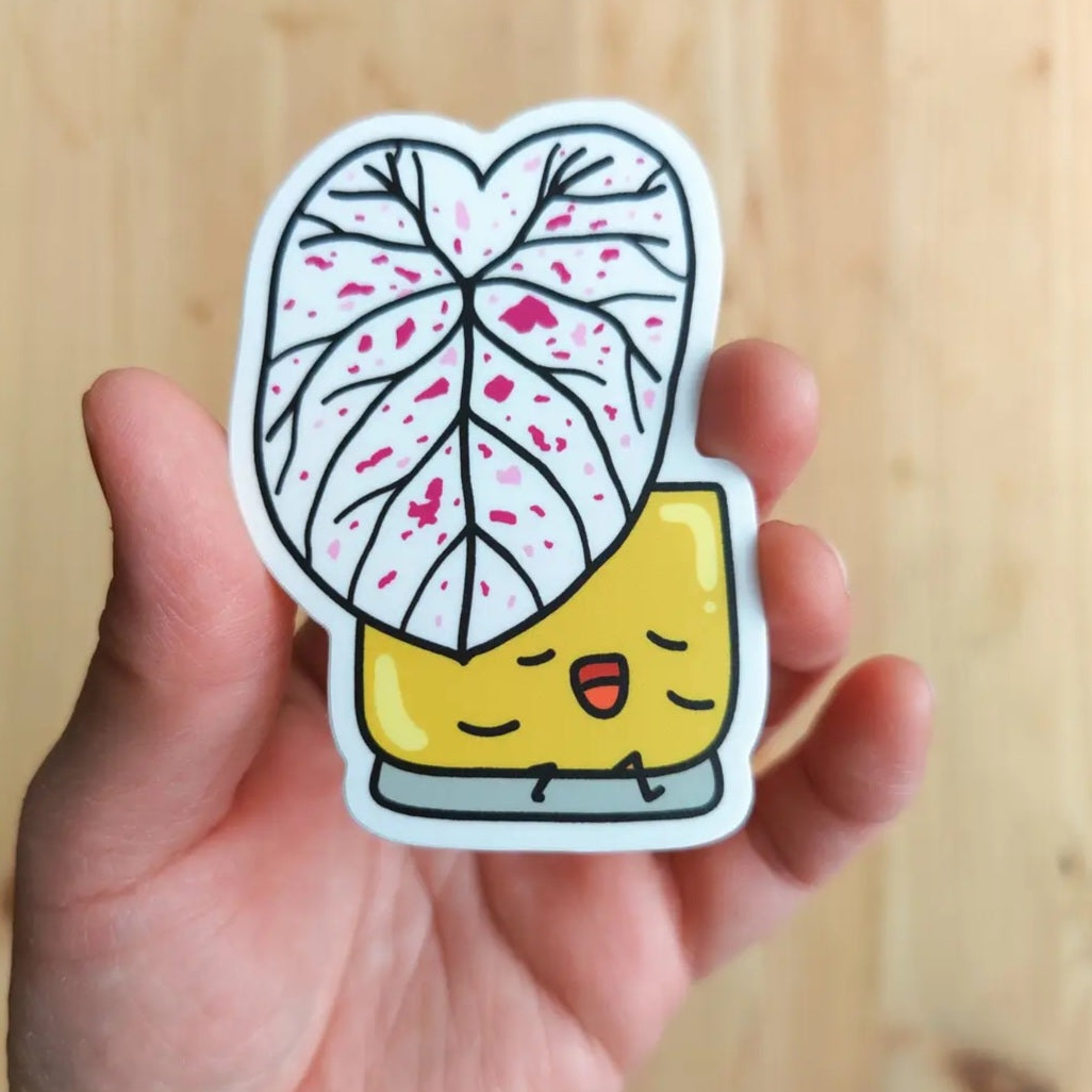 Caladium Strawberry Star Vinyl Houseplant Sticker by Home by Faith