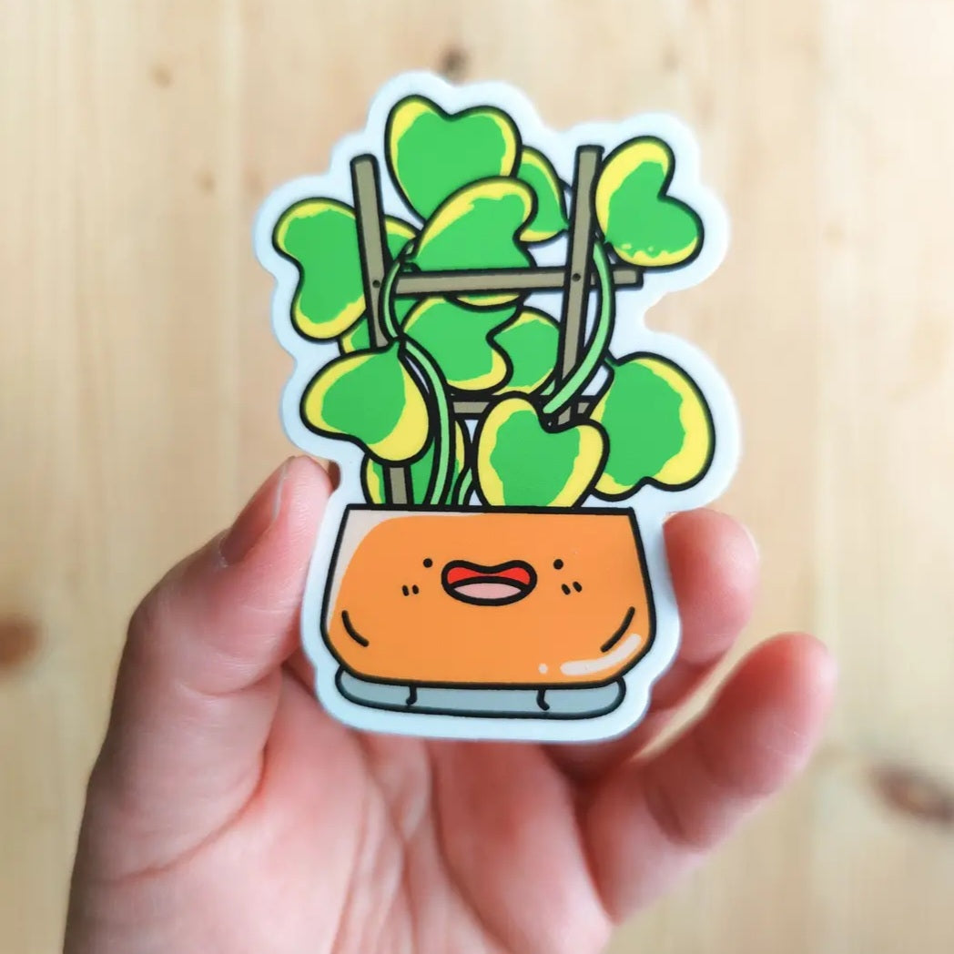 Variegated Hoya Kerrii Vinyl Houseplant Sticker by Home by Faith