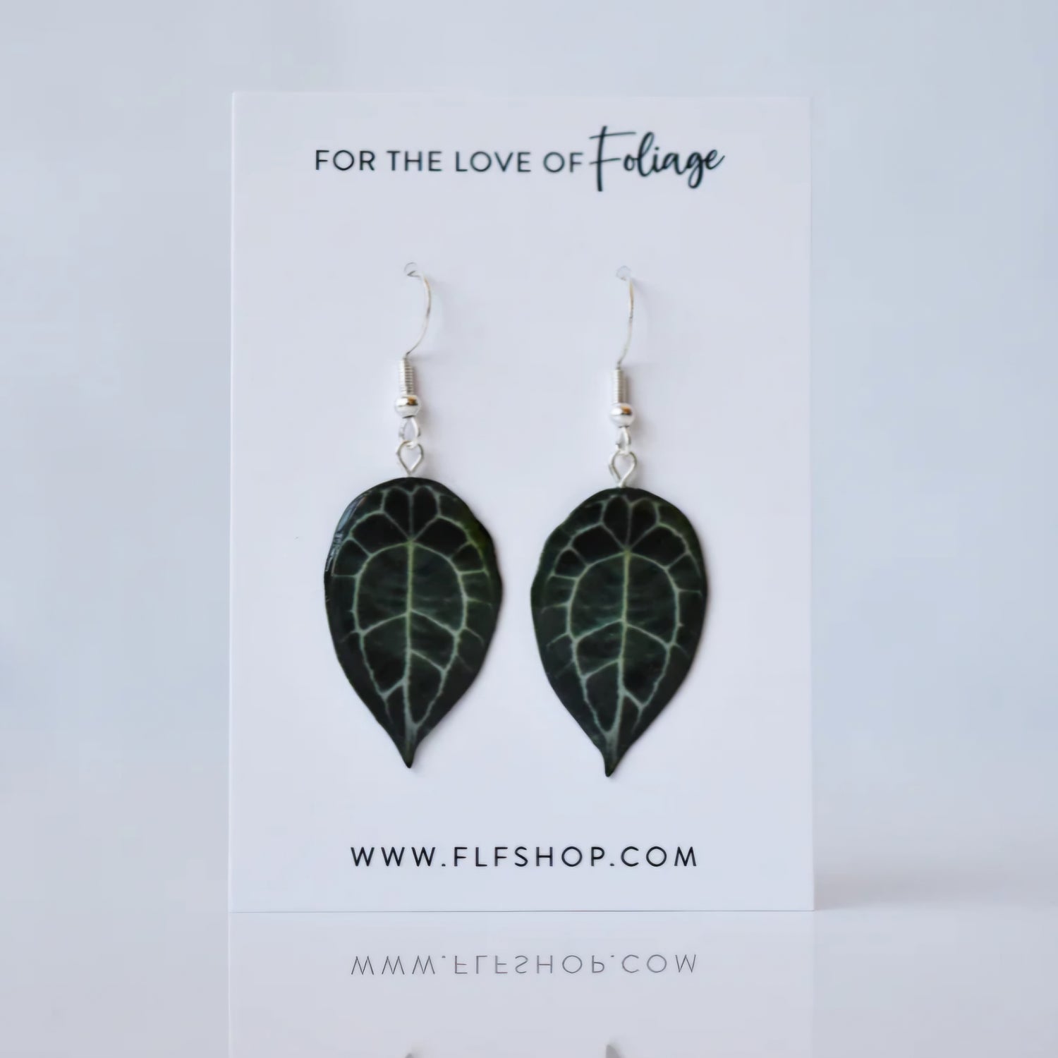 Anthurium Forgetii Houseplant Earrings