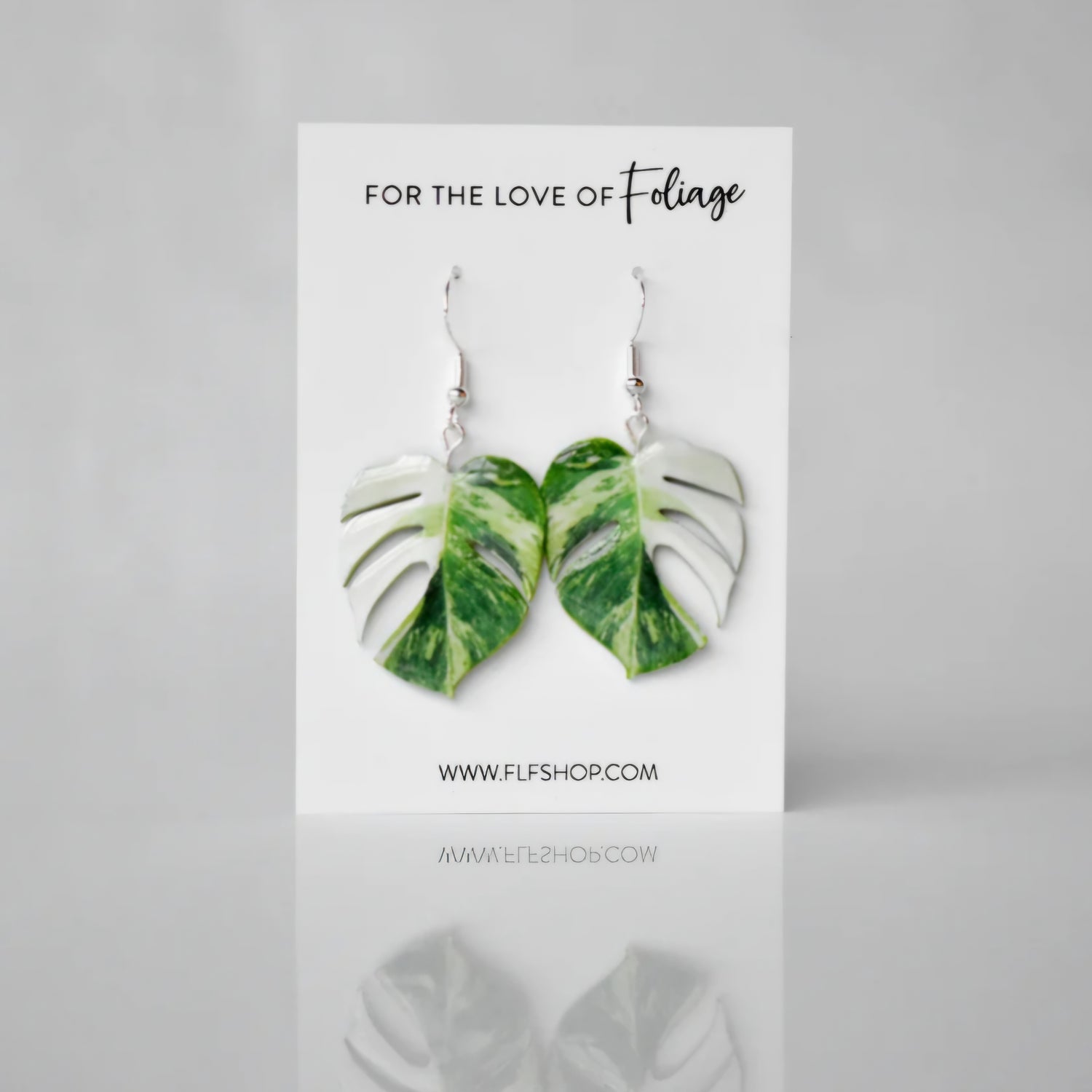 Monstera Borsigiana Albo Variegated houseplant Earrings