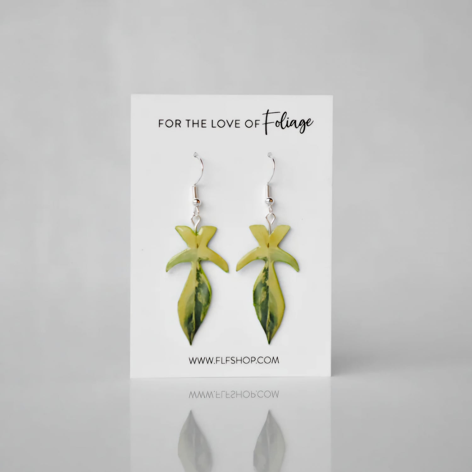 Philodendron Florida Beauty variegated houseplant earrings