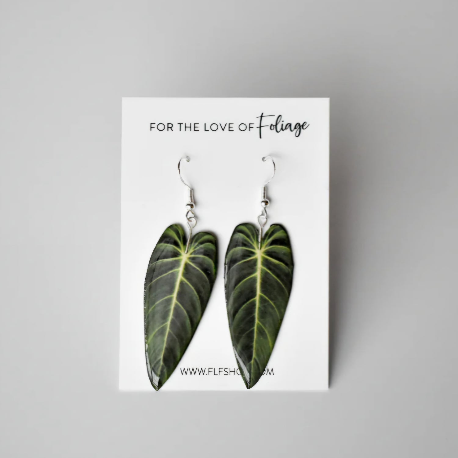 Philodendron Melanochrysum Houseplant Earrings With Stirling silver hooks