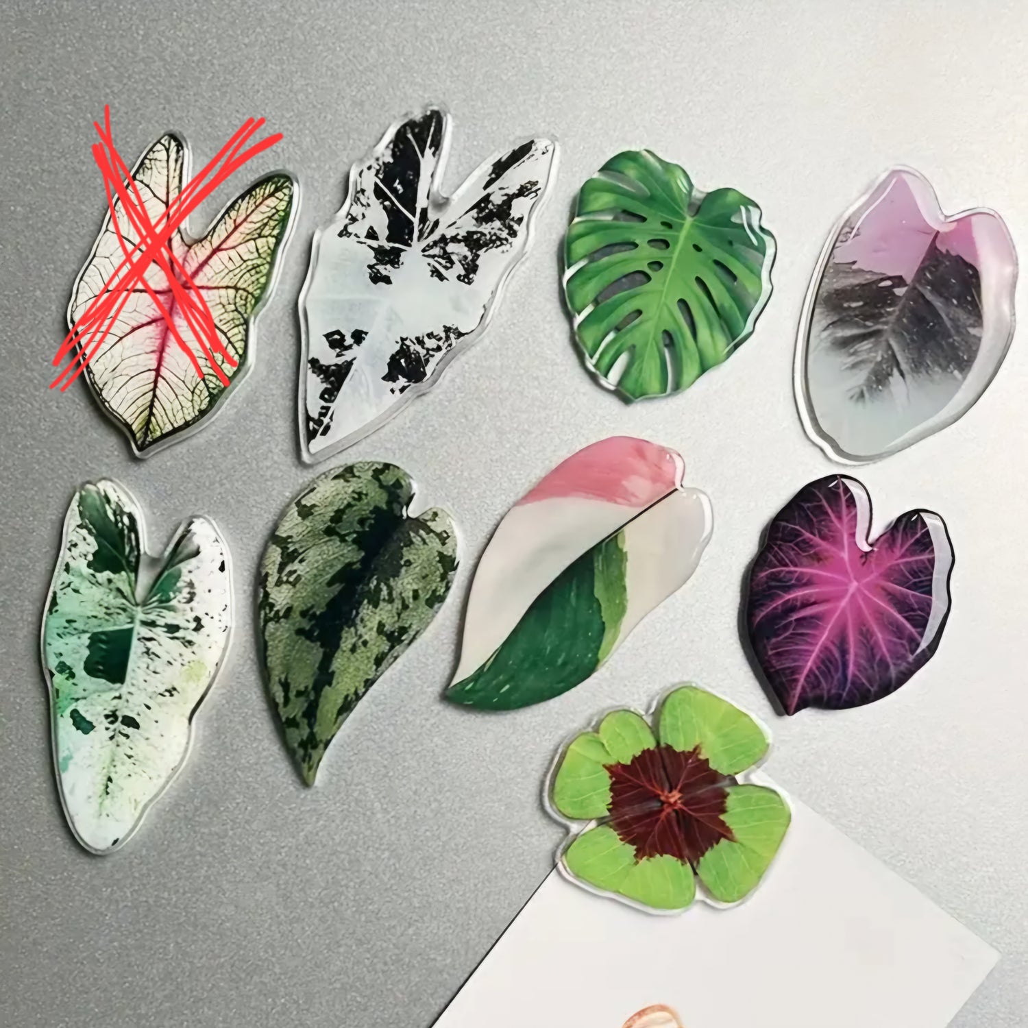 Rare Houseplant leaves Fridge Magnets - 8 to choose from