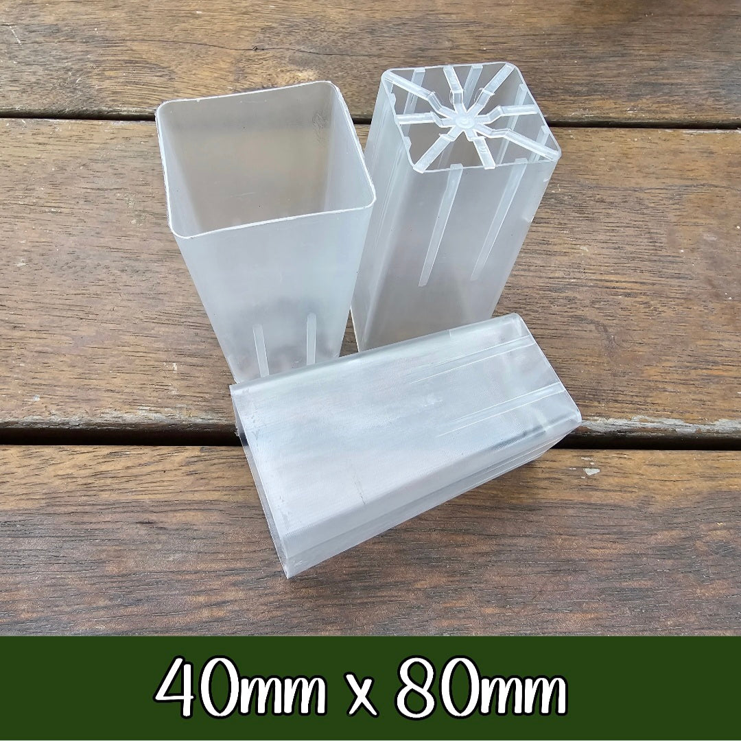My Plantasy/ 40mm x 80mm clear plastic seedling tube pot