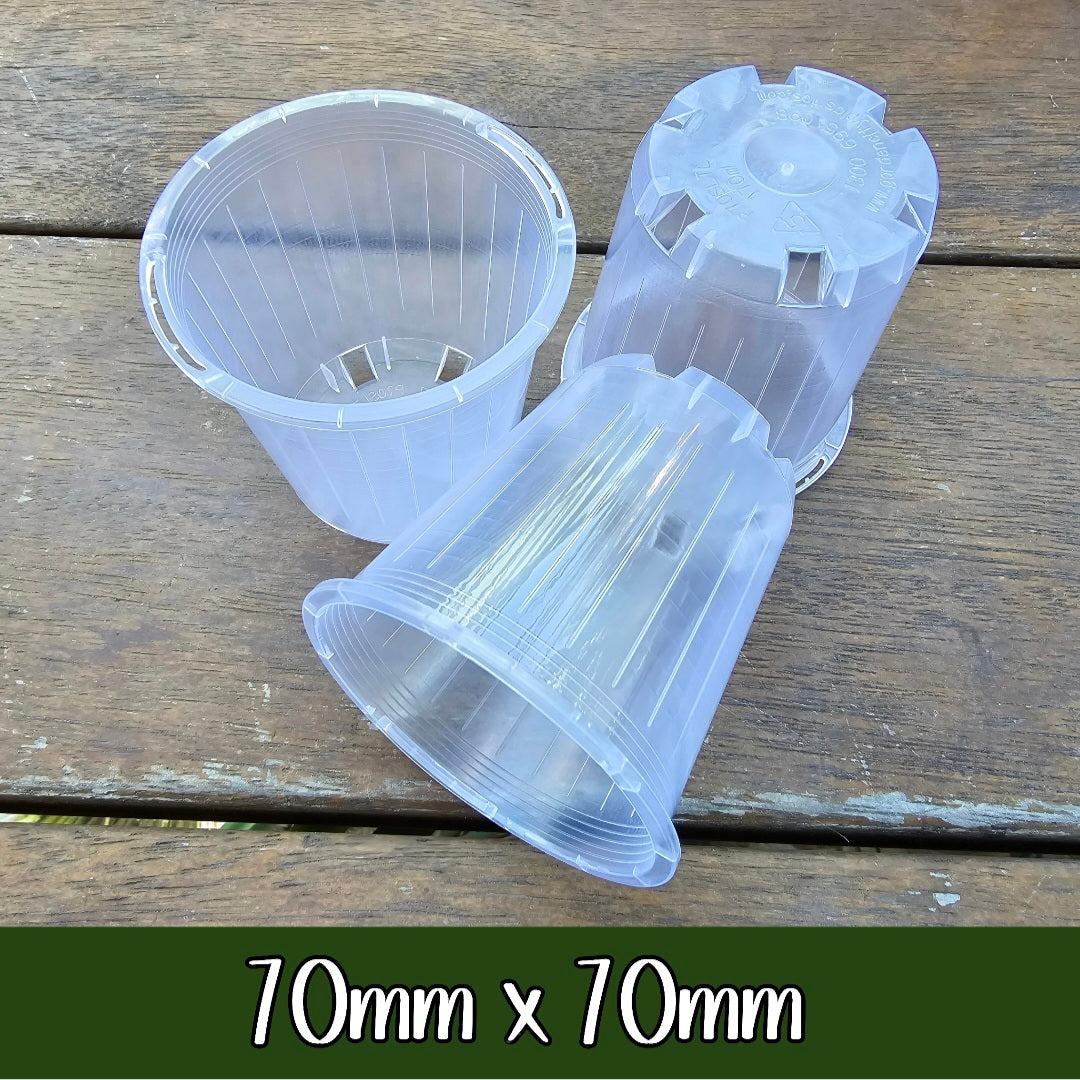 My plantasy/ 70mm x 70mm clear plastic plant pot