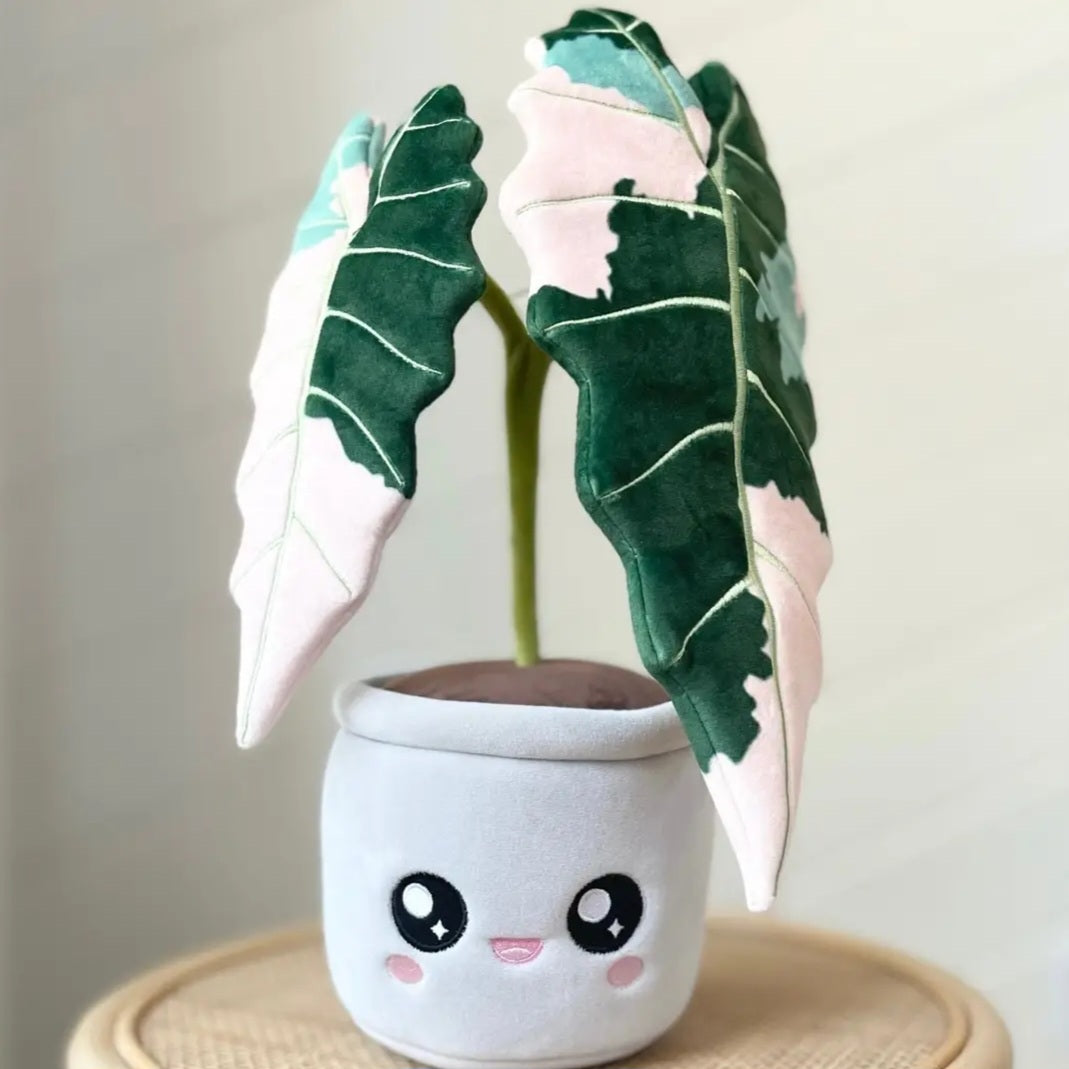 LARGE Kawaii Alocasia Amazonica Pink Variegated Plushie