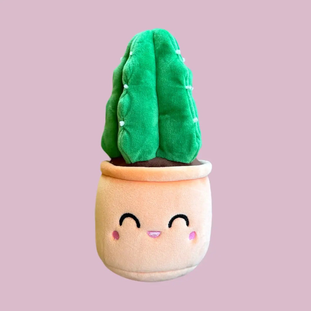 ⭐️PREORDER⭐️MEDIUM Kawaii Cuddly Cactus Plushie