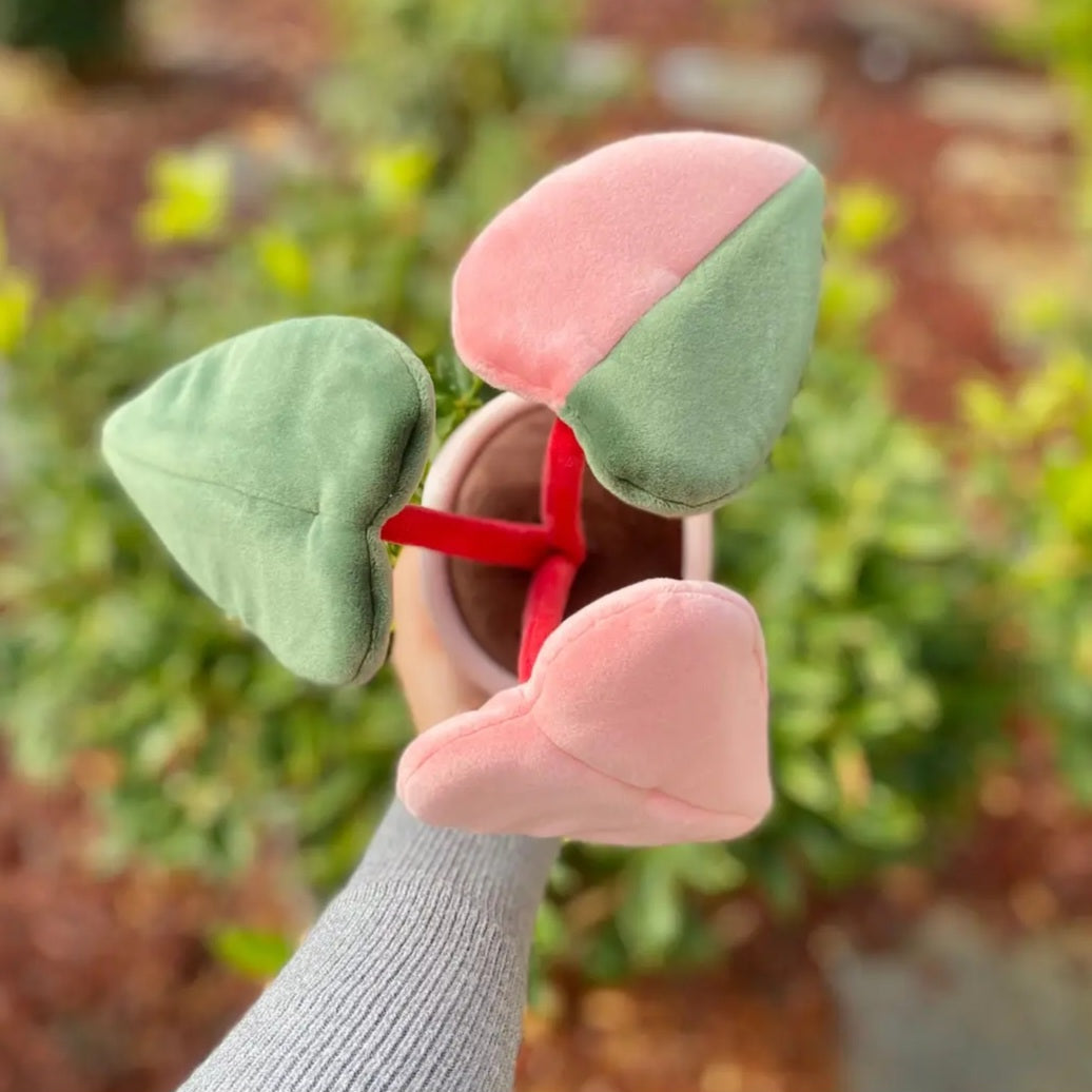 MEDIUM Kawaii Philodendron Pink Princess Plushie
