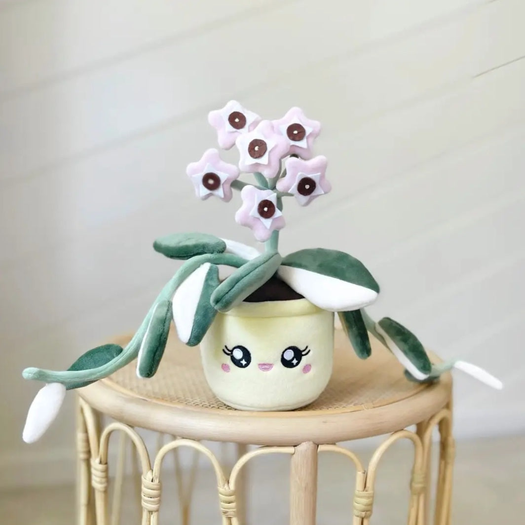 ⭐️NEW⭐️MEDIUM Plushie Kawaii Hoya Karnosa Krimson Queen