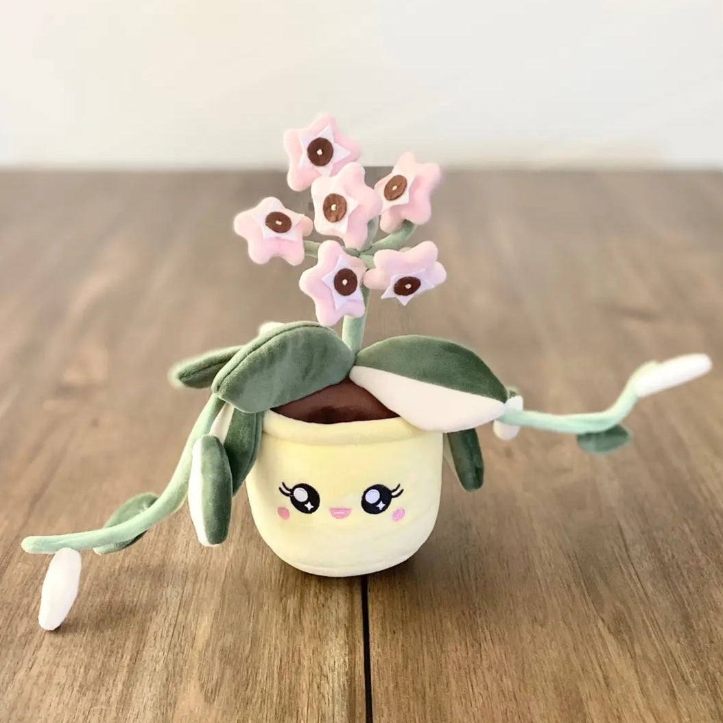 ⭐️NEW⭐️MEDIUM Plushie Kawaii Hoya Karnosa Krimson Queen