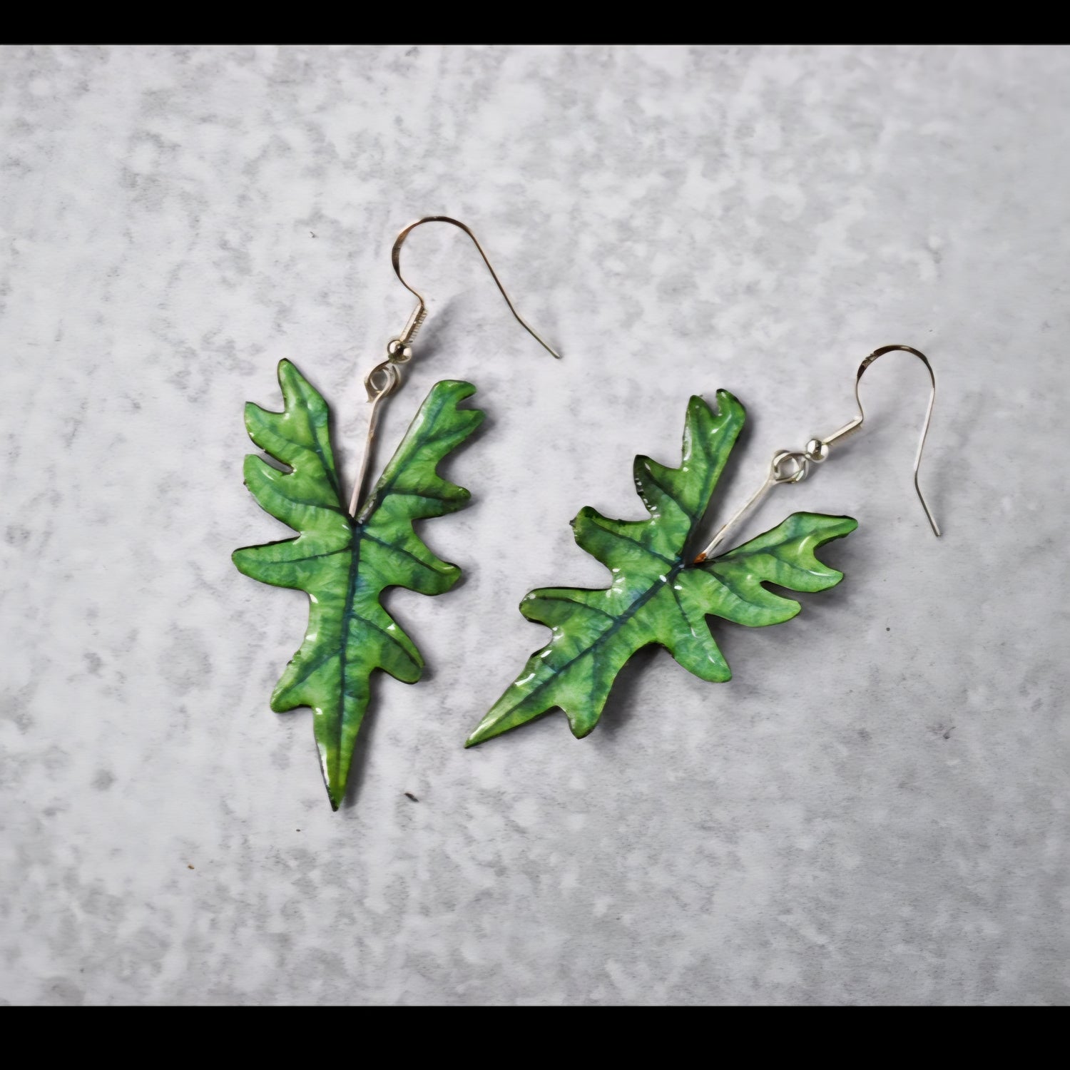 Alocasia Jackyln Houseplant Earrings with Stirling silver hooks