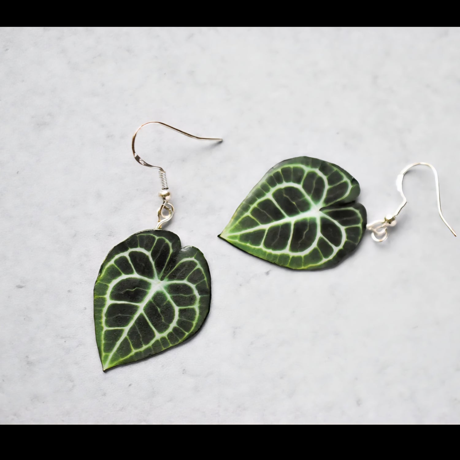 Anthurium Clarinervium Houseplant Earrings with Stirling Silver Hooks