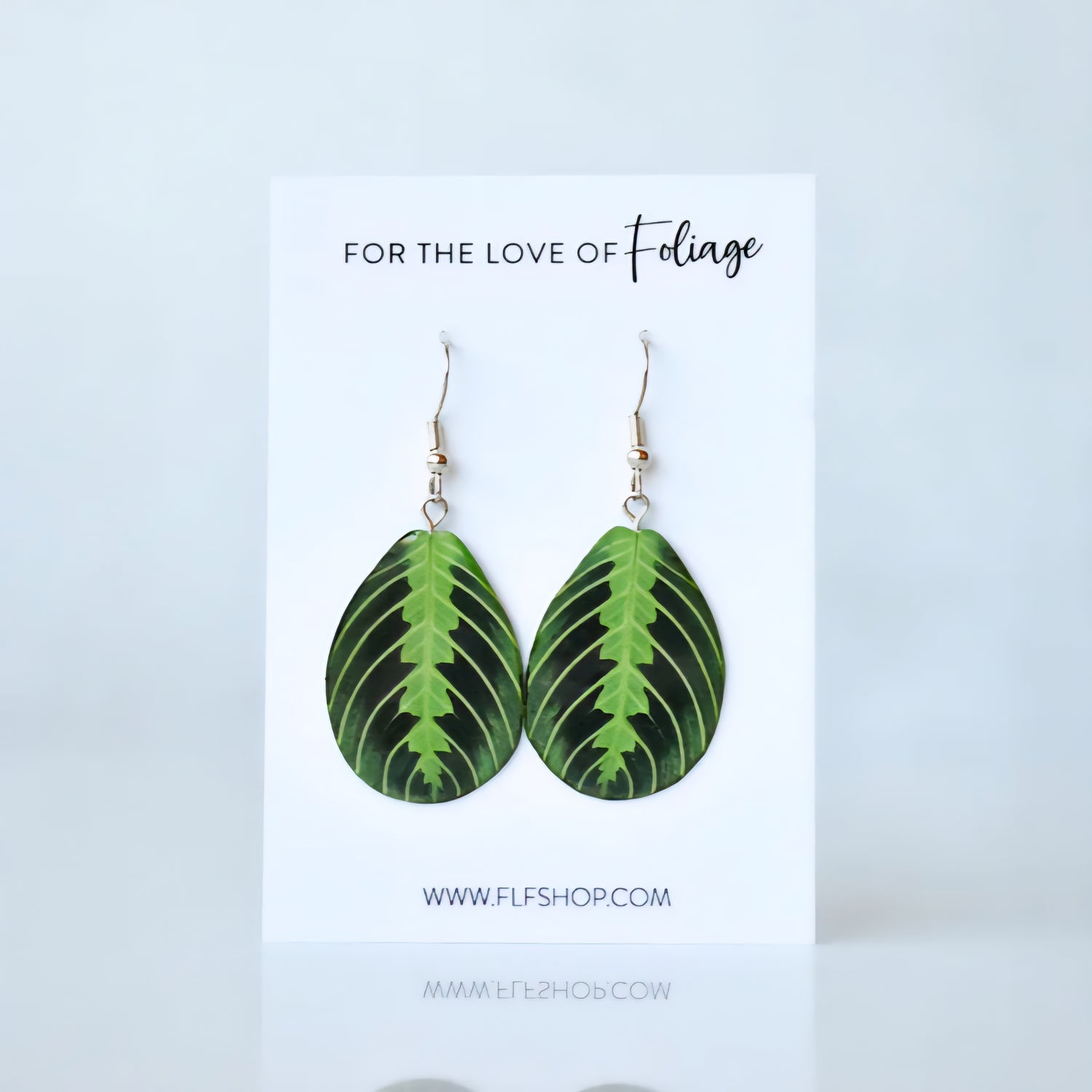 Lemon Lime Maranta Houseplant Earrings with Stirling silver hooks