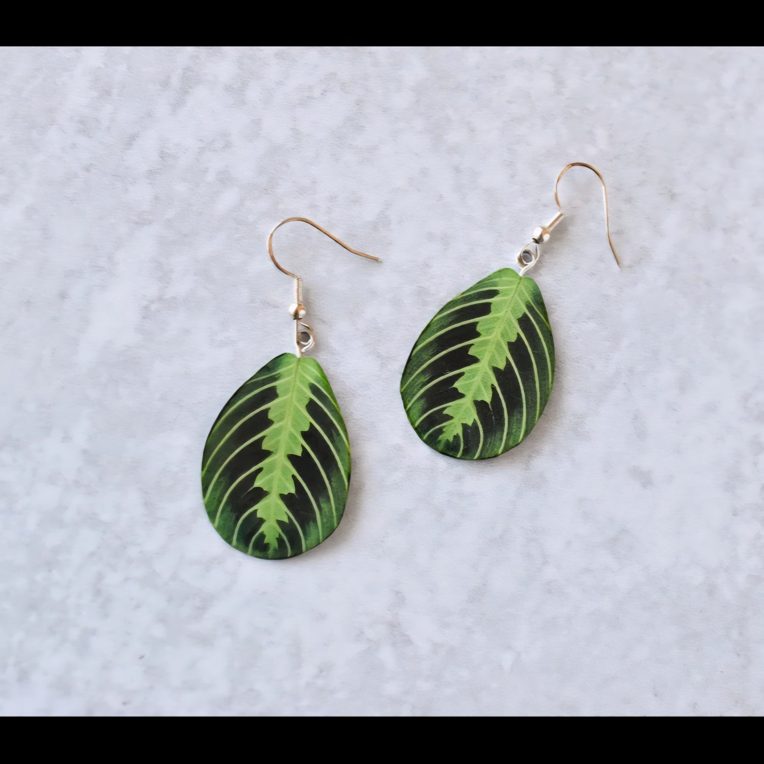 Lemon Lime Maranta Houseplant Earrings with Stirling silver hooks