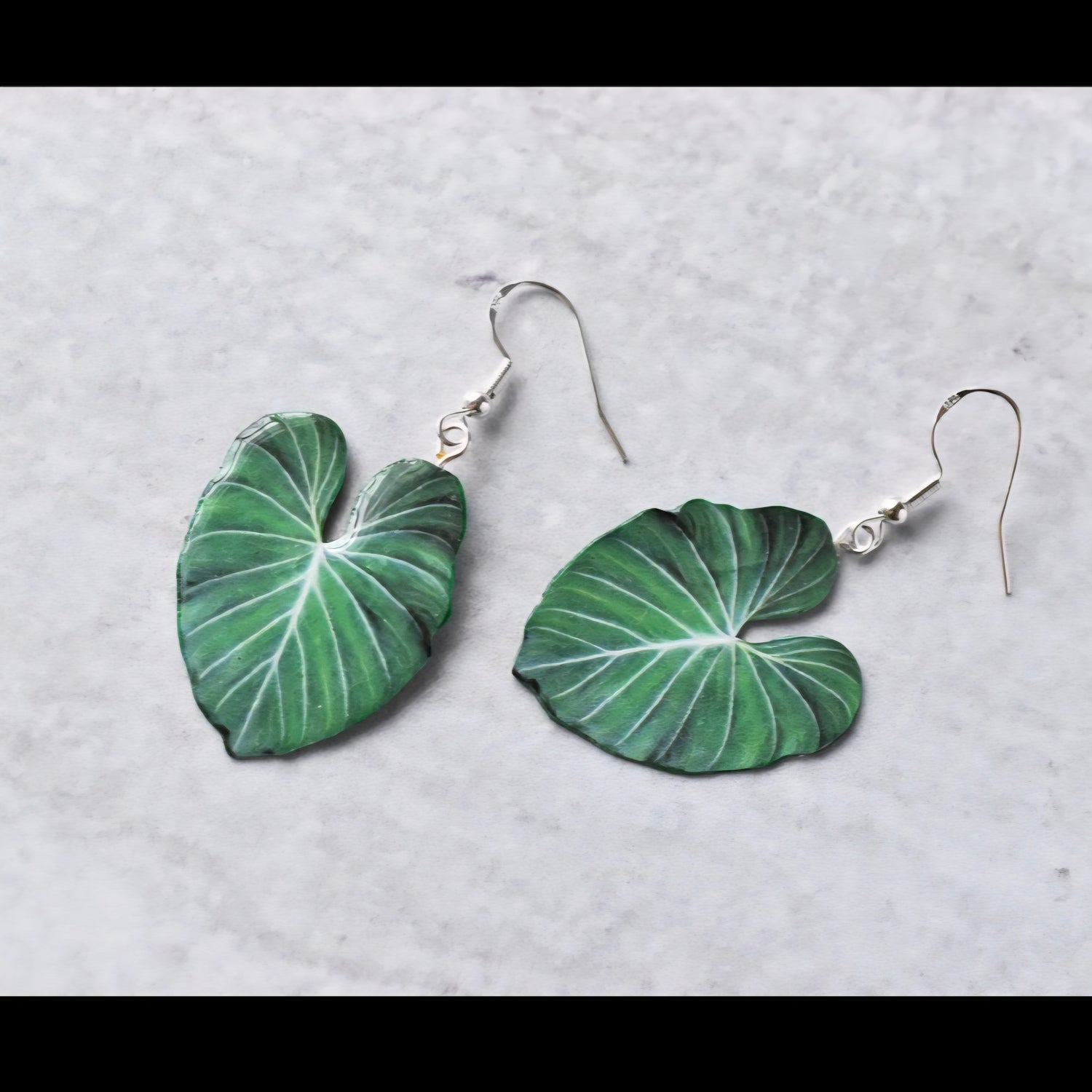 Philodendron Gloriosum Houseplant Earrings with Stirling silver hooks