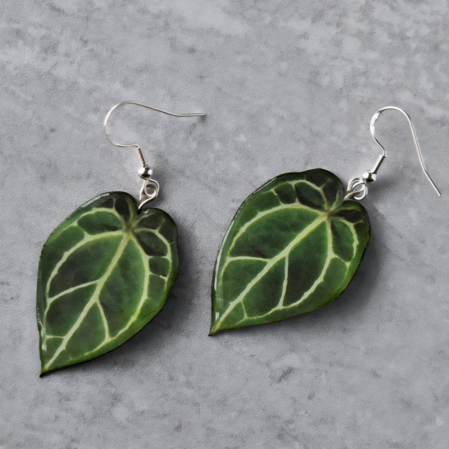 Anthurium Crystallinum Houseplant Earrings with Stirling Silver hooks