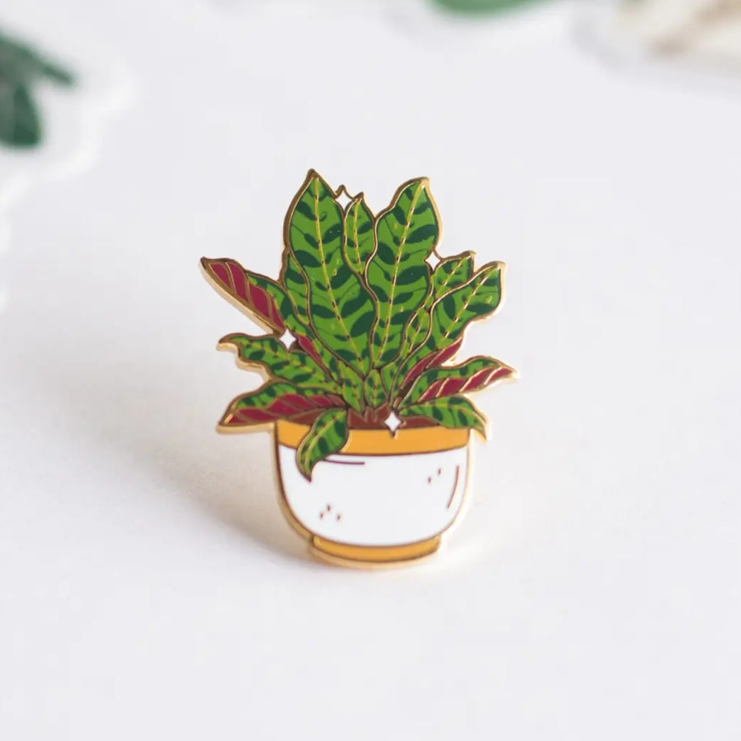 Calathea Rattlesnake Potted Gold Plated Enamel Houseplant Pin