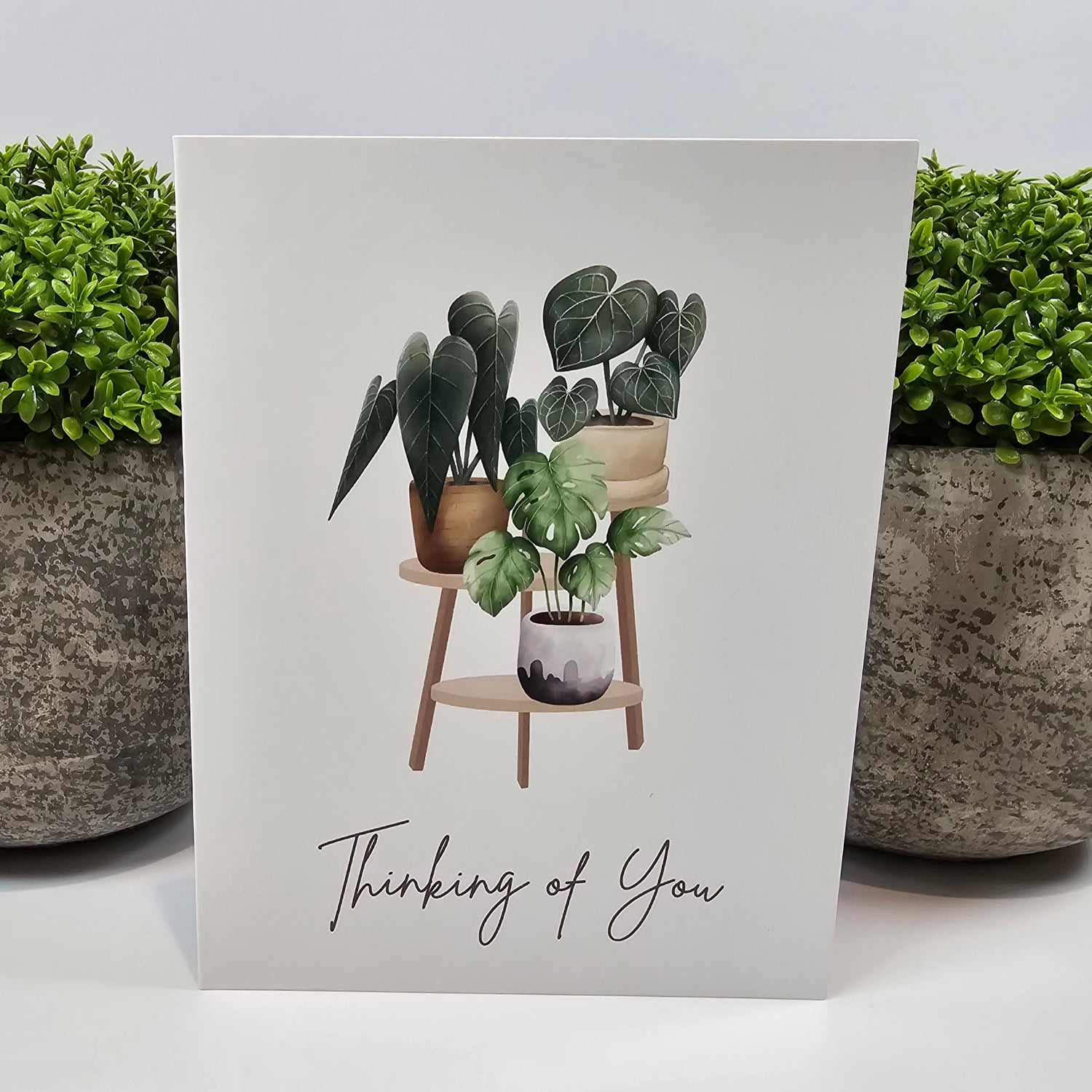Houseplants Thinking of You Greeting Card