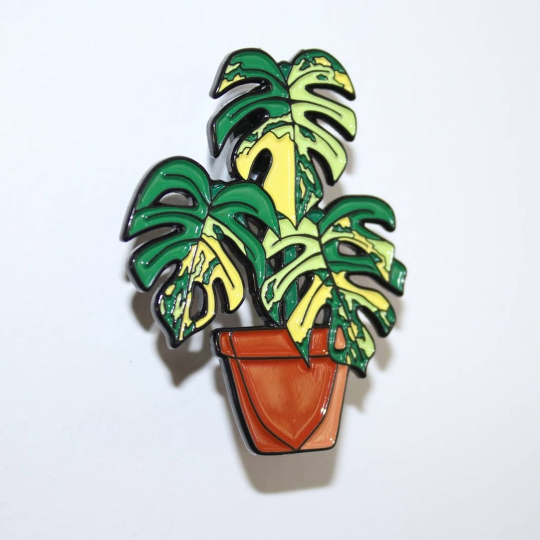 Rare Monstera Aurea variegated houseplant Enamel Pin