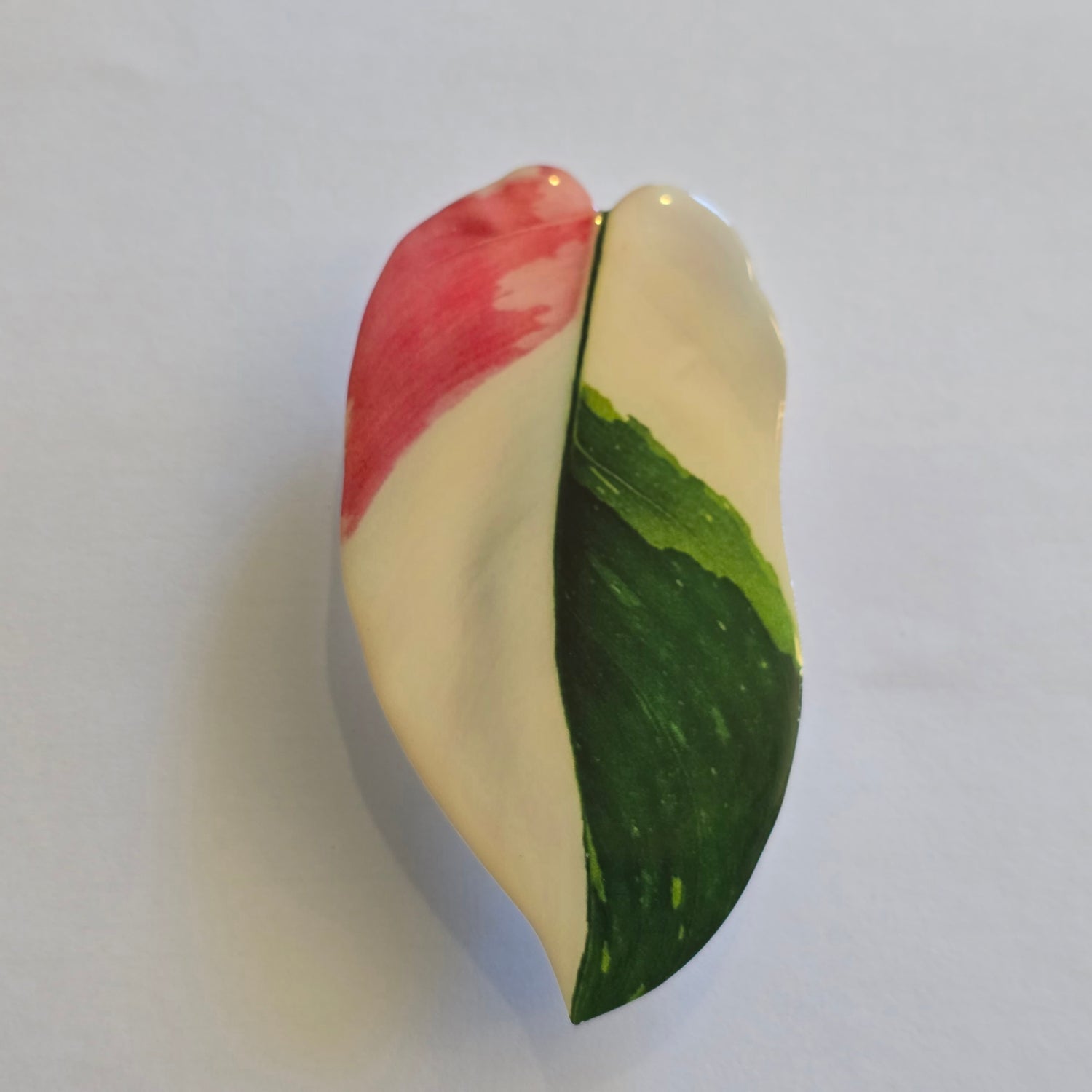 Philodendron White & Pink Princess Variegated Mobile Phone Grip