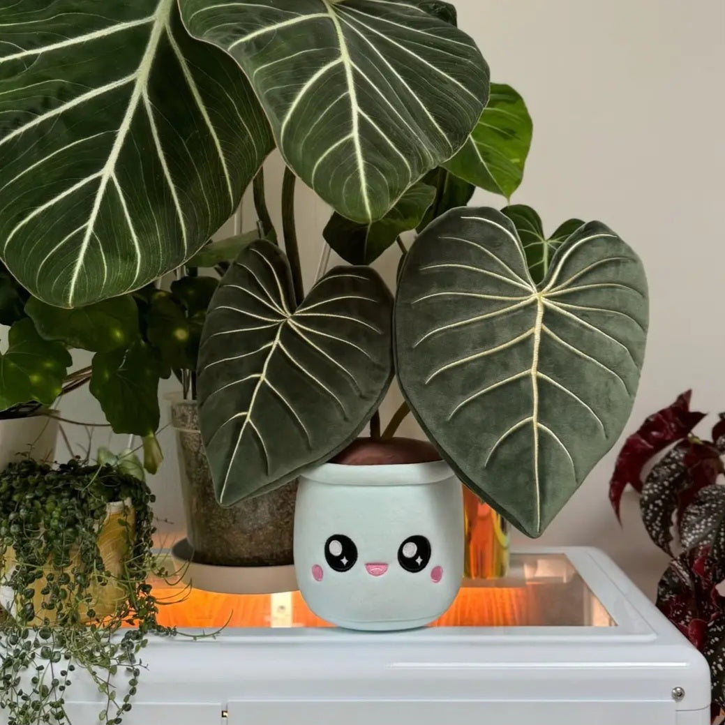 LARGE Kawaii Philodendron Gloriosum Plushie